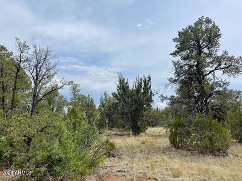 8418 HAVEN CREST Drive 223 Happy Jack AZ 86024