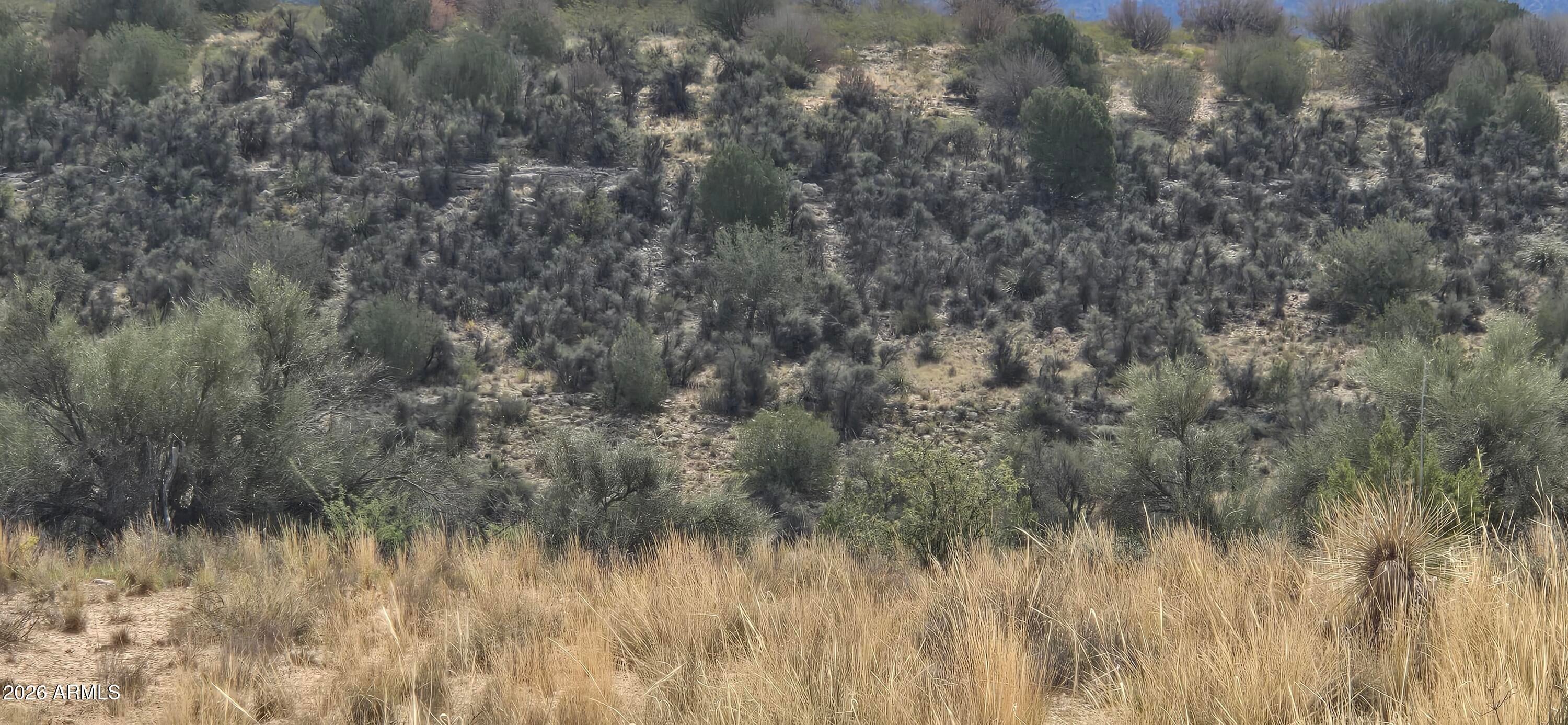 3500 Native Trail 098E