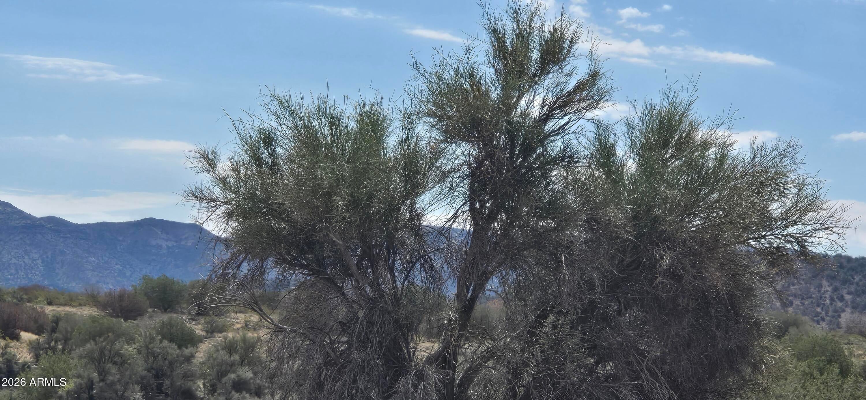 3500 Native Trail 098E