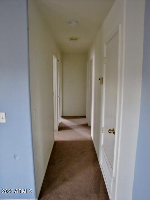 SEMINOLE WINGS - Residential