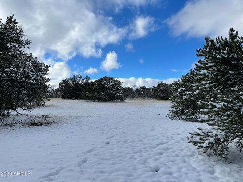 13537 BLY STATION Road 414 Williams AZ 86046