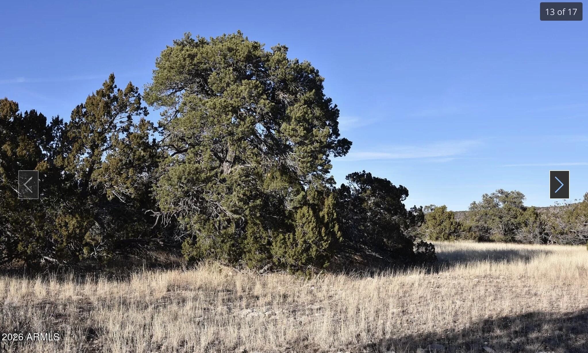 13537 BLY STATION Road 414