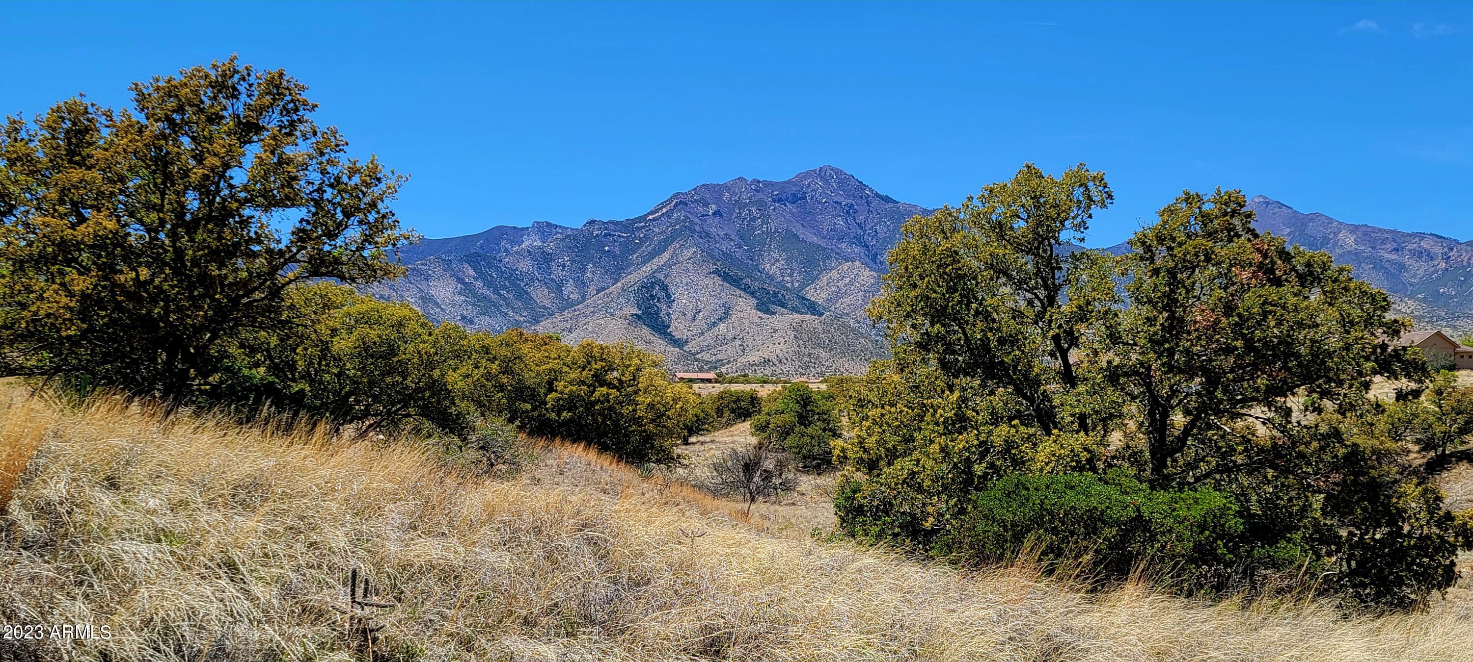 Lot 46 S Hackney Place 46