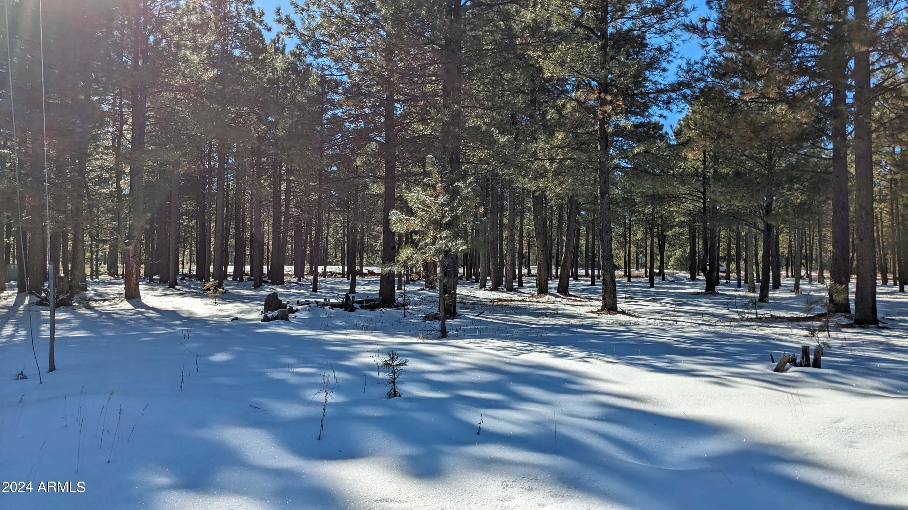 1960 MERRYLAND Road 233