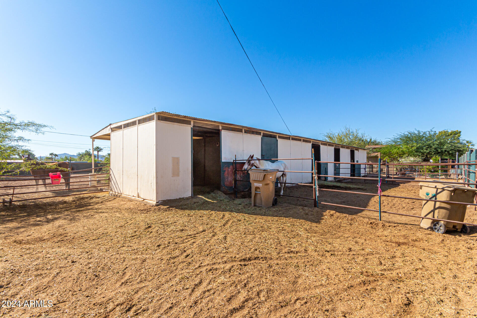 12423 N 64th Street
