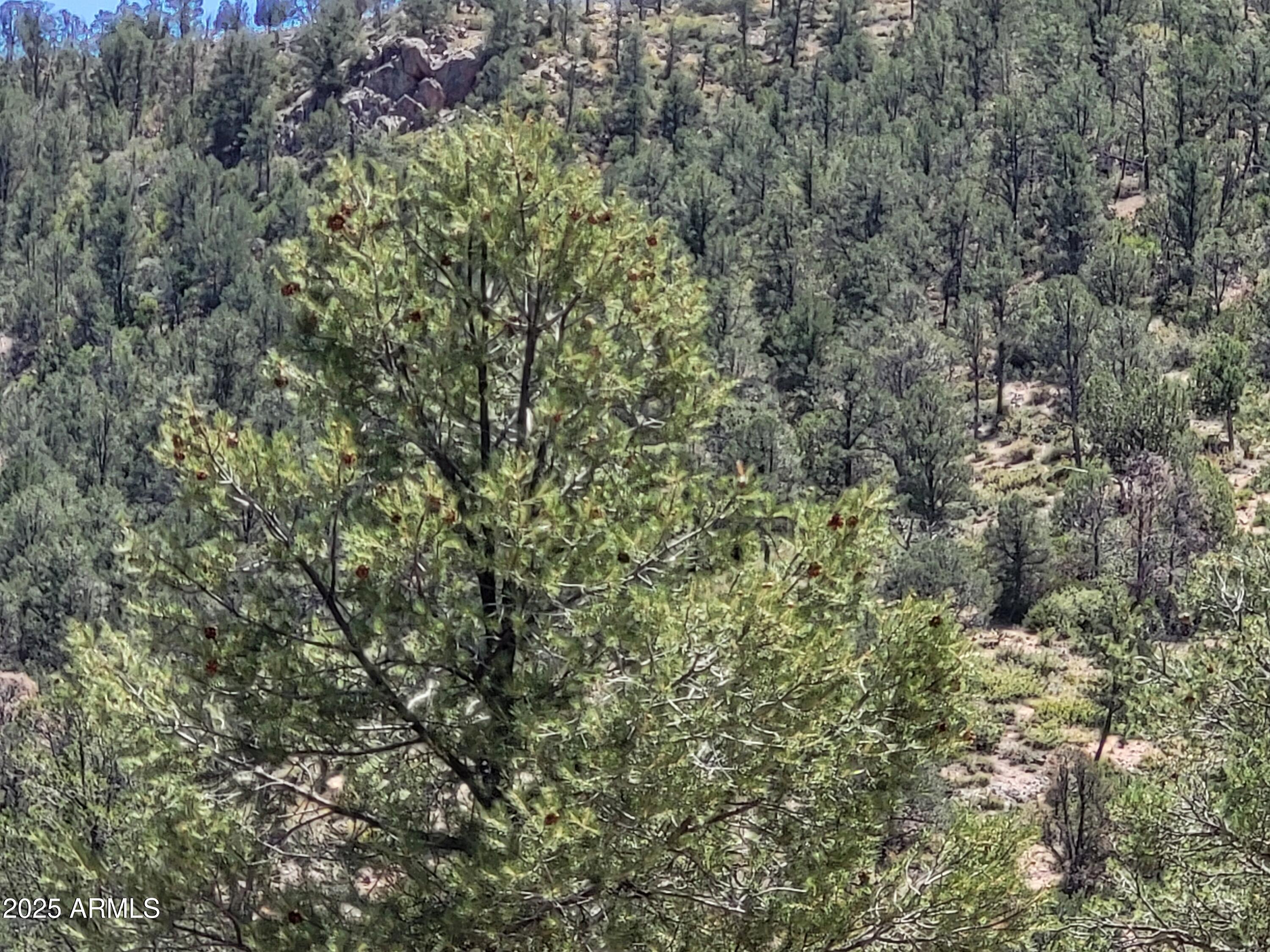 1201 E PHOENIX Street 13