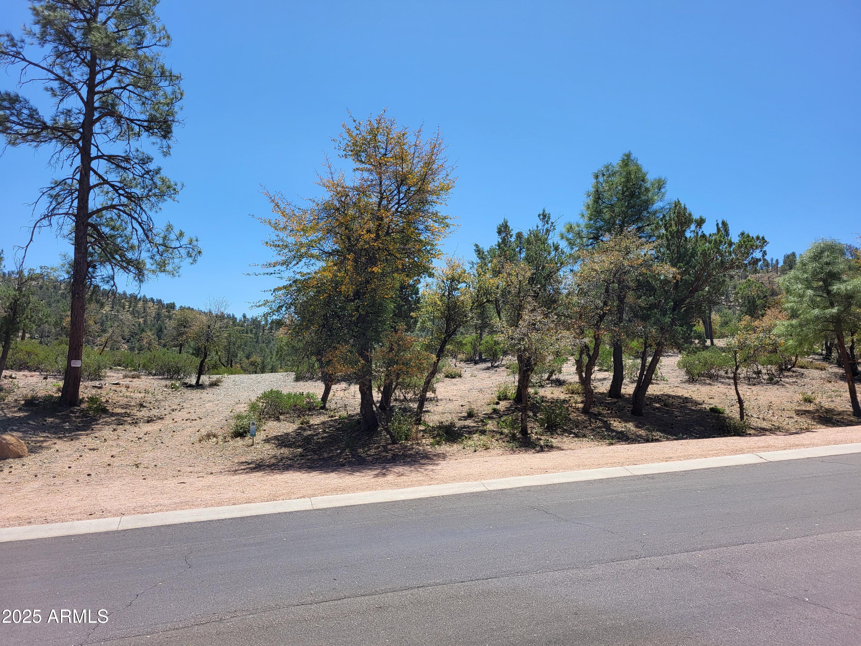 1201 E PHOENIX Street 13