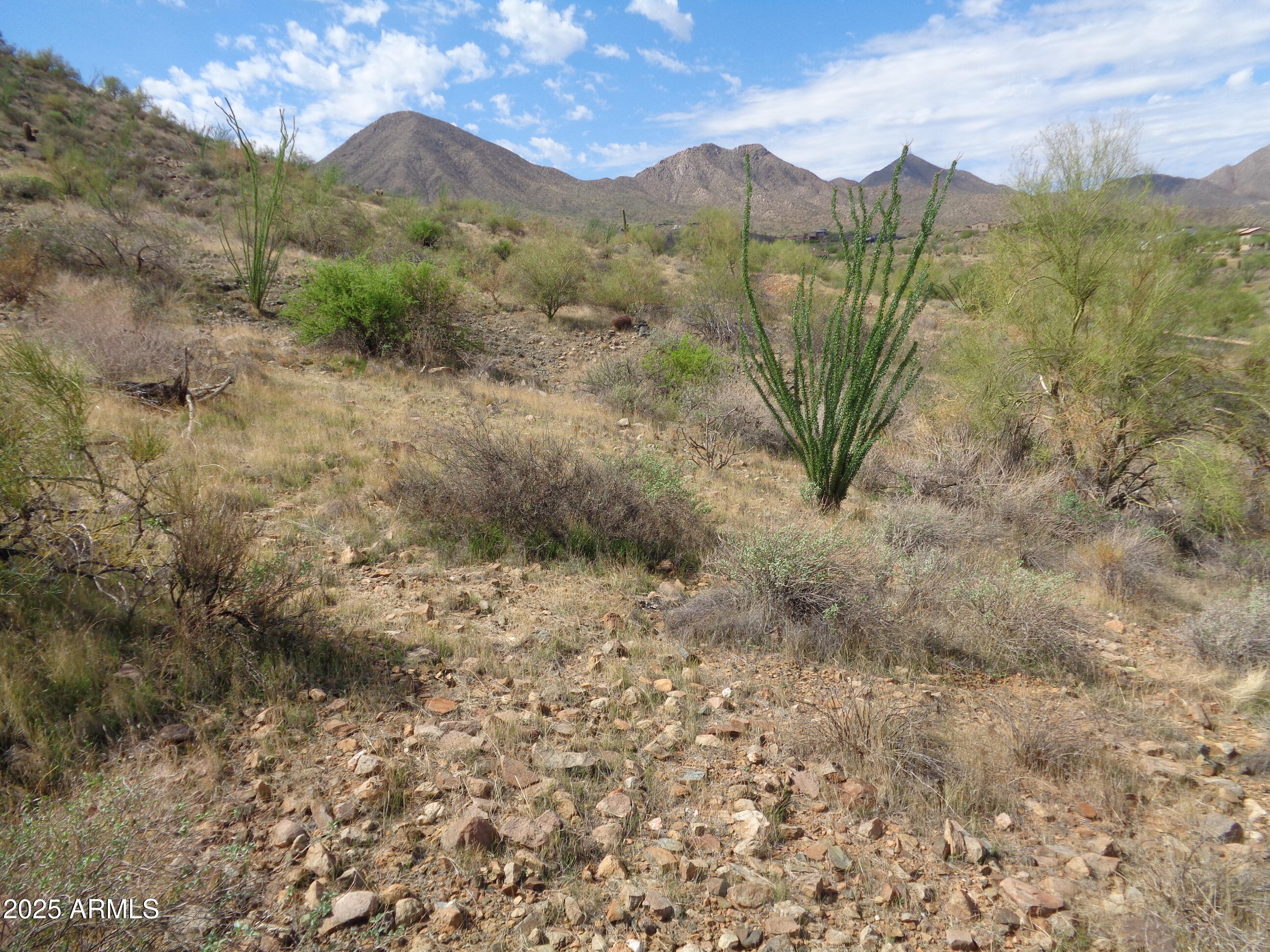 14539 E Prairie Dog Trail 11