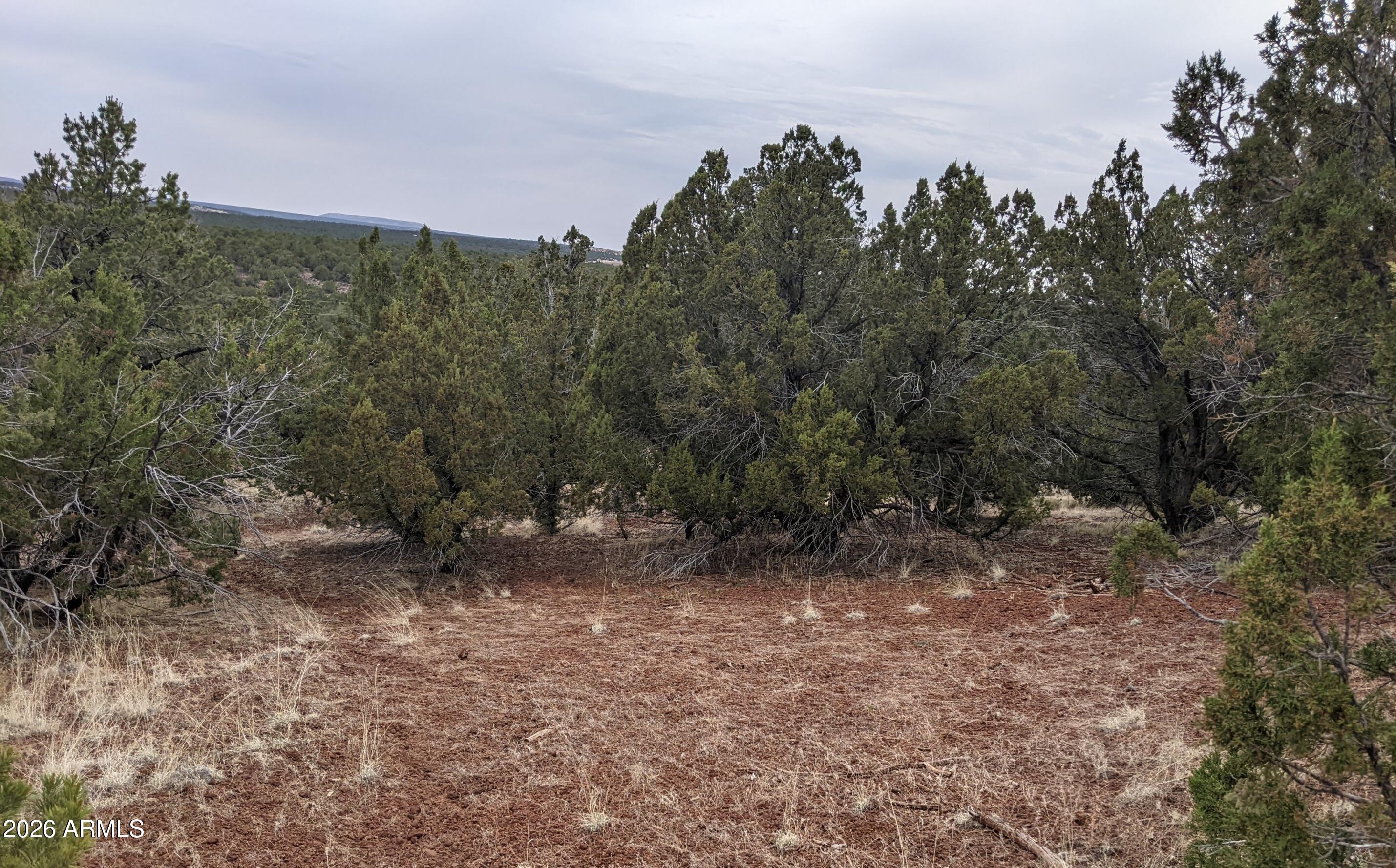 SHOW LOW PINES UNIT 10 - Land