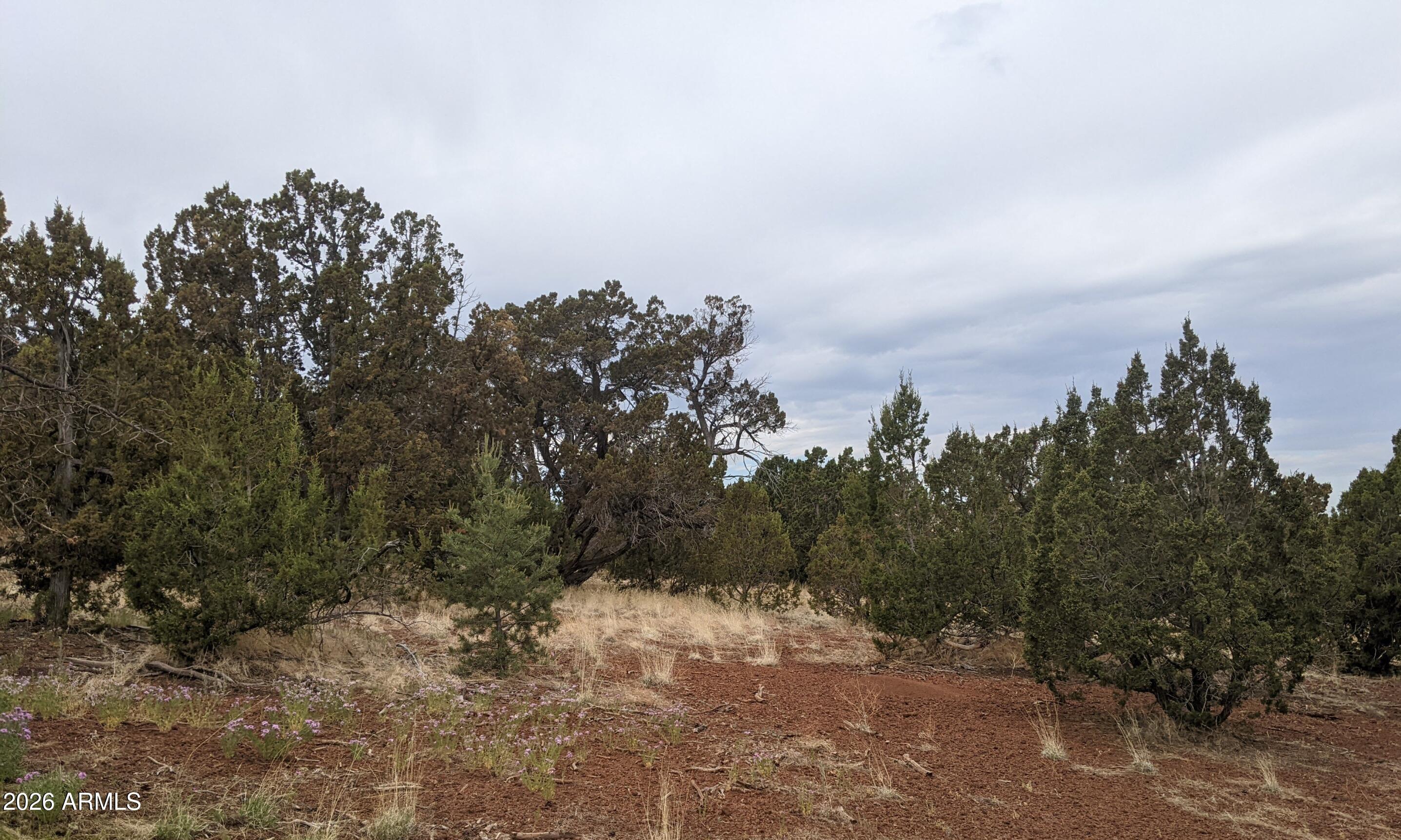 SHOW LOW PINES UNIT 10 - Land