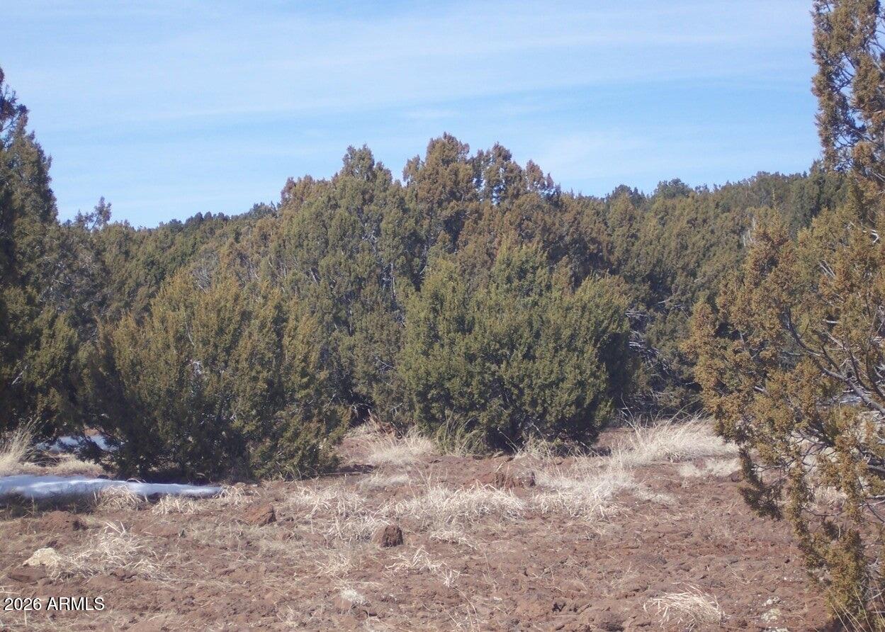 43 County Rd 8296 -- -