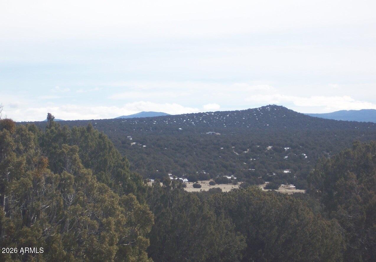 SHOW LOW PINES UNIT 10 - Land