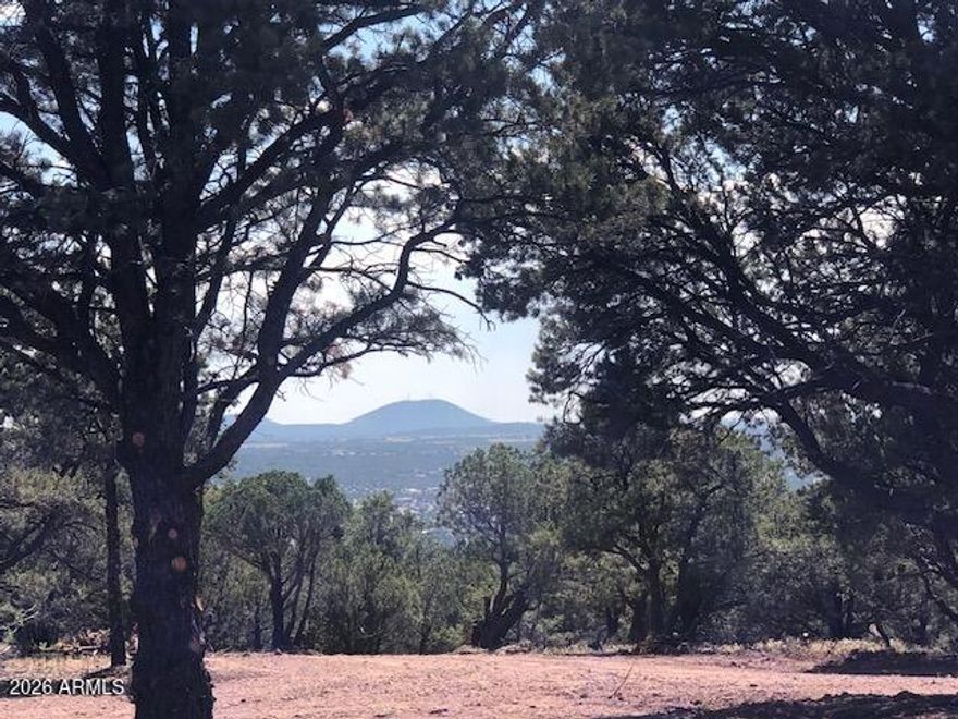 Stunning 360-degree views on this 4.8 acre property atop the Mountain Pine Ranch subdivision in Vernon, just 10 minutes to Show Low. Mature juniper and pinon pine trees galore, offering privacy and tranquility. The owner has already done much of the development for you to make your home building process quicker. You'll love the large, winding, cinder driveway taking you back to the level, cleared pads the owner created for a luxurious home, garage, workshop, etc. amidst the spectacular mountain views. The electrical pedestal is in, along with conduit buried to the driveway for a possible future electric gate. The septic and leach field are installed with a 1250 gallon tank. The 5000 gallon water tank is ready to fill. Either drill your own well, or haul FREE water from the Mountain Pine Ranch Community Well to store in your tank. The Annual HOA dues are only $100, which includes not only access to the free water in the community well, but a place to dump both your household waste and green waste. What a bargain! This is a one of a kind property! What kind of home do you imagine waking up in with gorgeous sunrises from your cathedral windows or sitting on the back deck? No matter which direction you build your home, you'll have phenomenal views. Listing Agent has builder contacts, and offers initial project management services, to help expedite your dream home process. Please inquire for more information. Seller owns a 2018, 44' Hartland Road Warrior 427 that is not on the property, but he would be willing to sell outside escrow, if it is something you would want to live out of during construction once you get your approval to build from the HOA & County.
