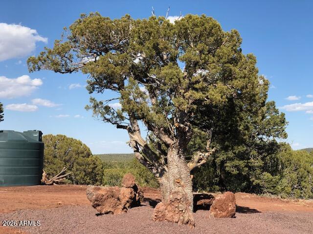 Mountain Pine Ranch - Land