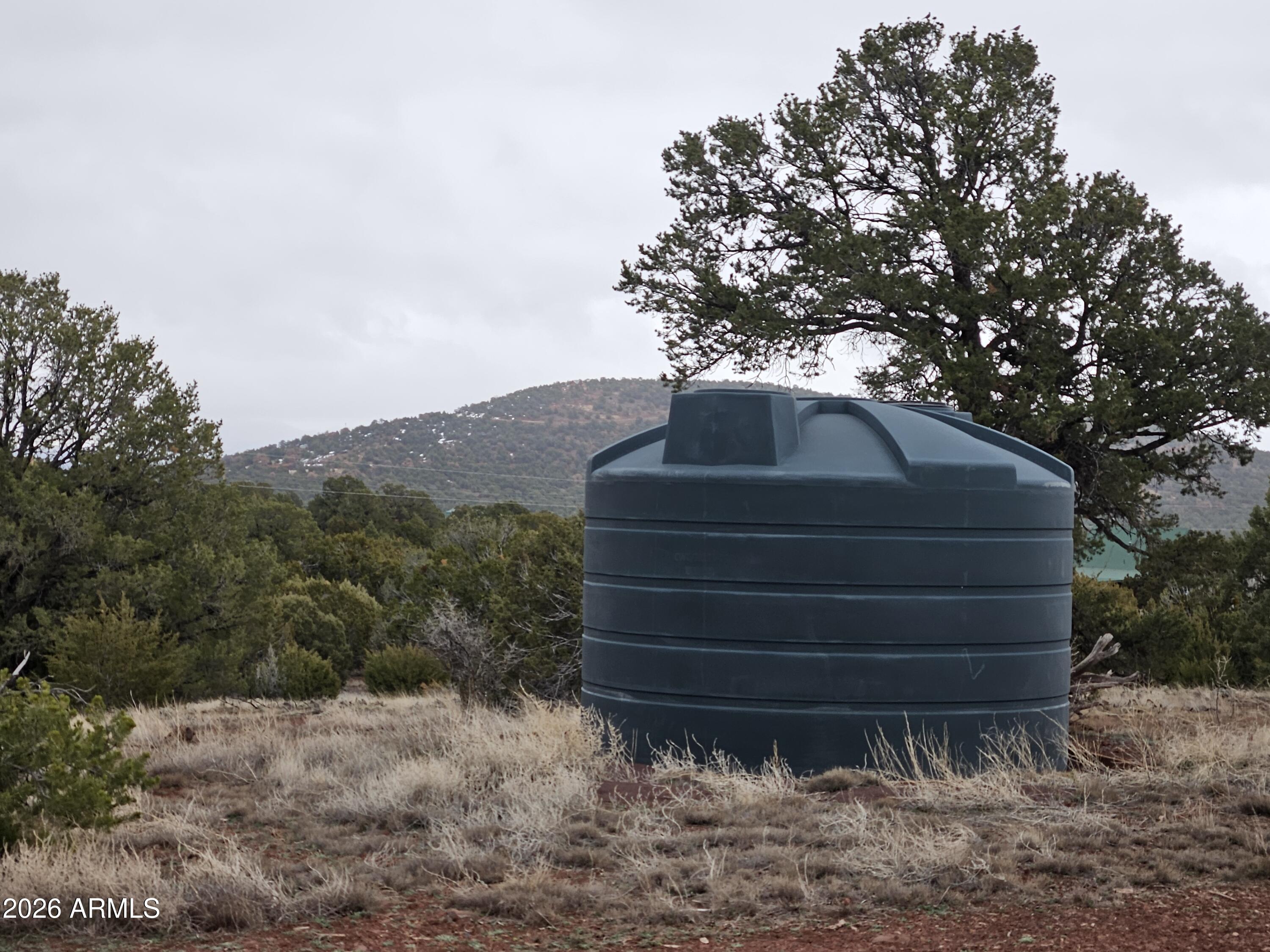 Mountain Pine Ranch - Land