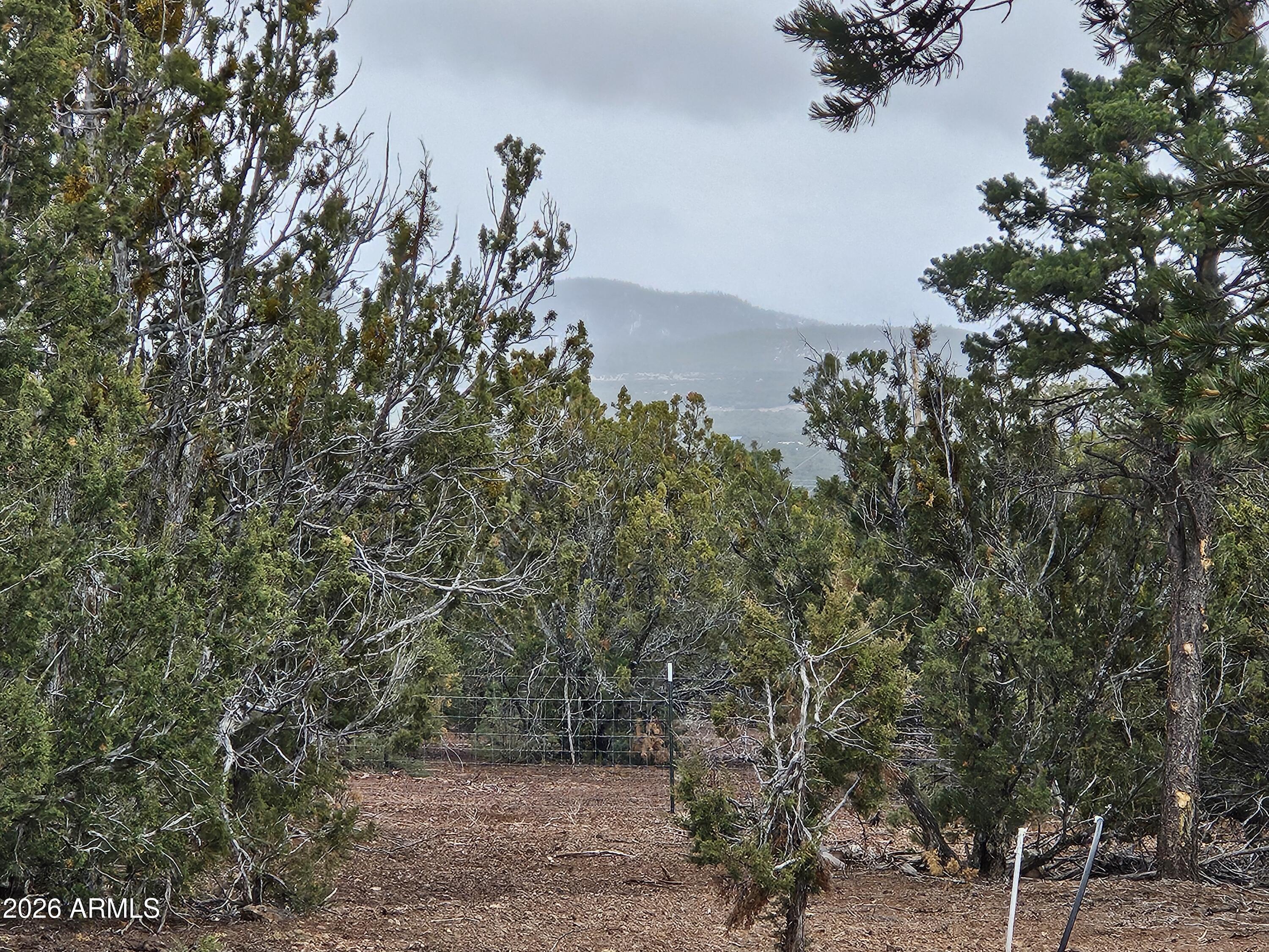 Mountain Pine Ranch - Land