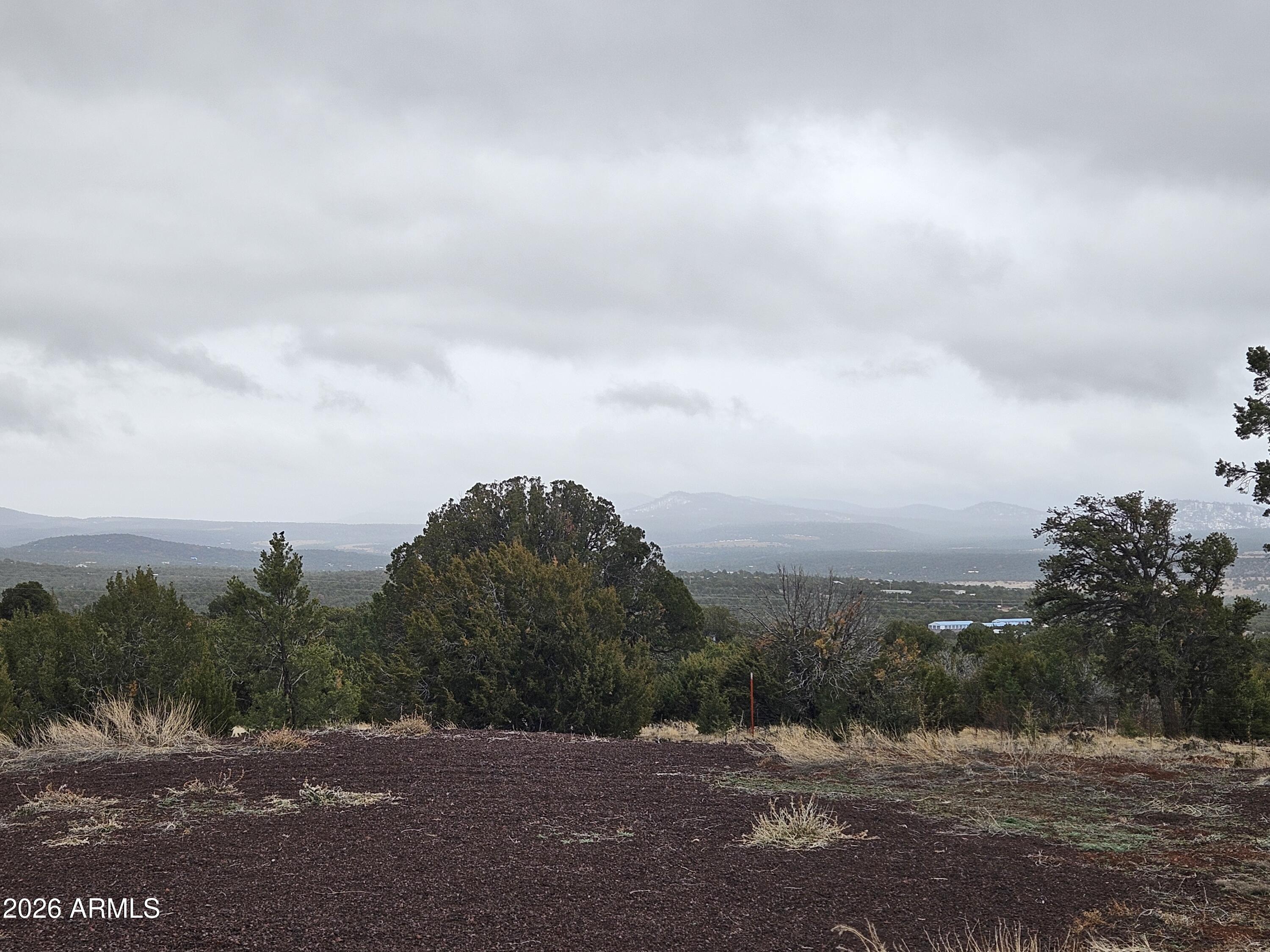 Mountain Pine Ranch - Land