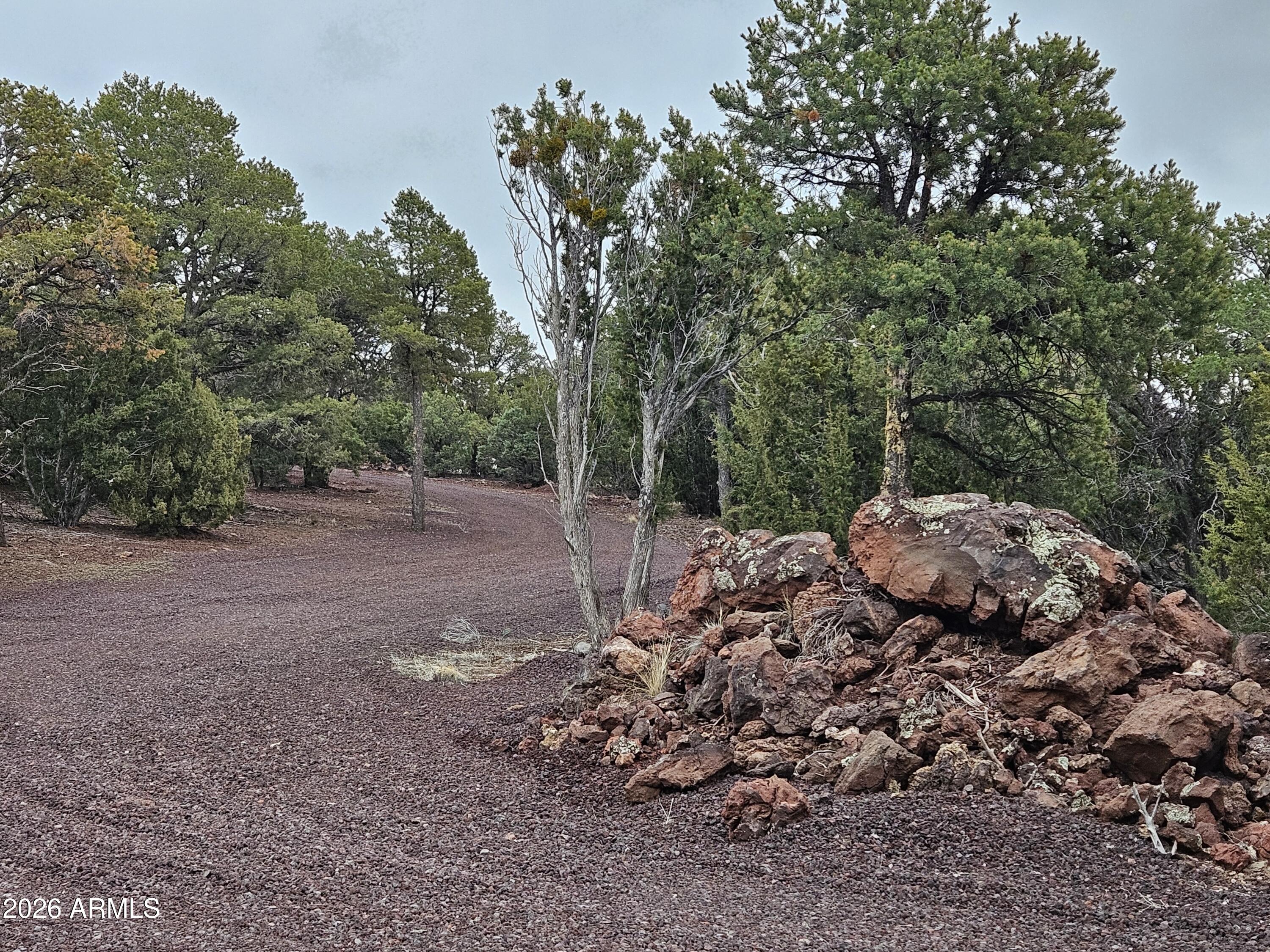 Mountain Pine Ranch - Land