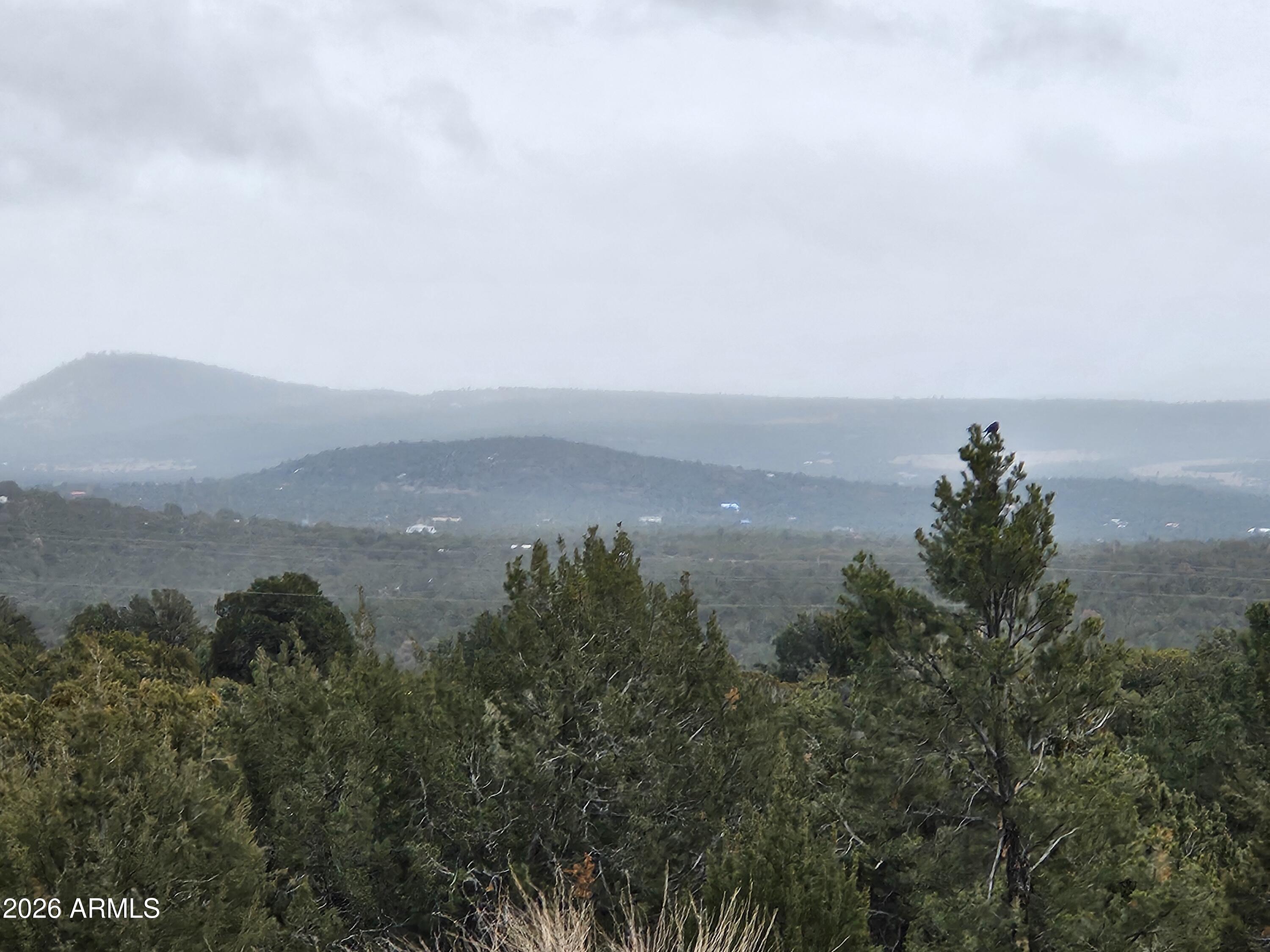 Mountain Pine Ranch - Land