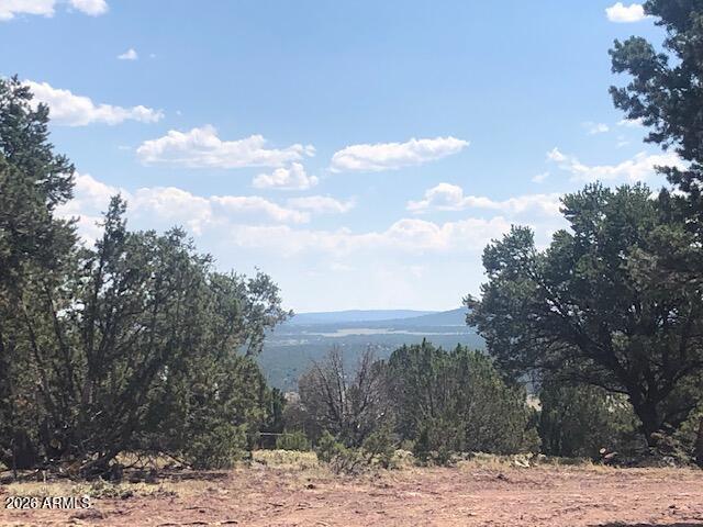 Mountain Pine Ranch - Land