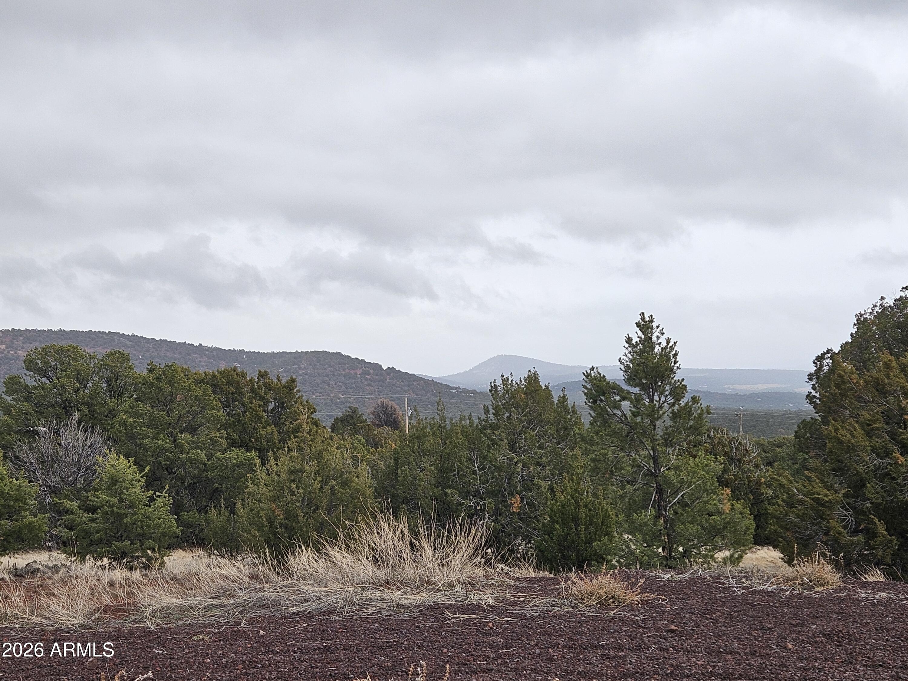 Mountain Pine Ranch - Land