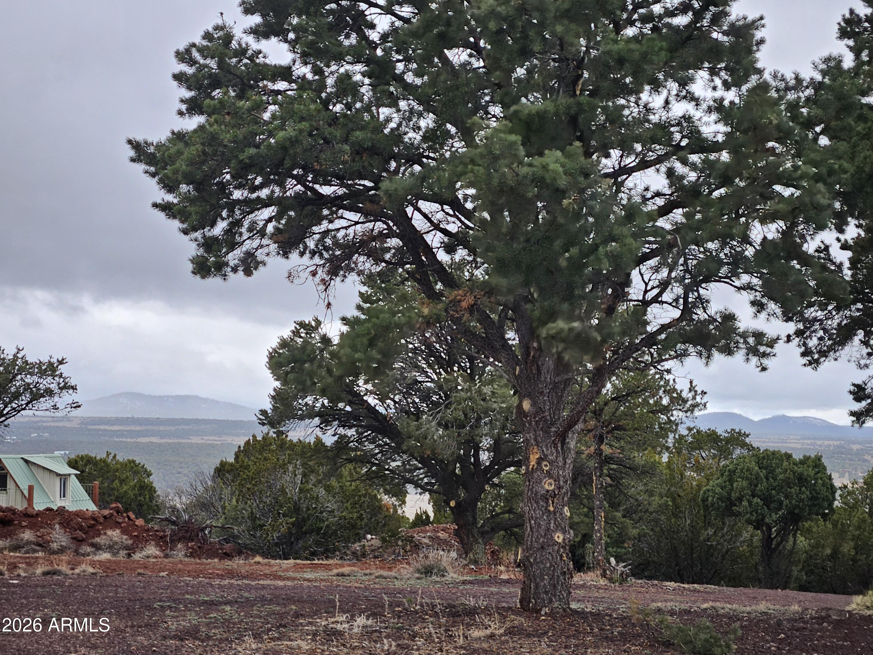 Mountain Pine Ranch - Land