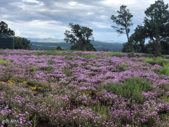 Lot 20 Mountain Pine Road 20