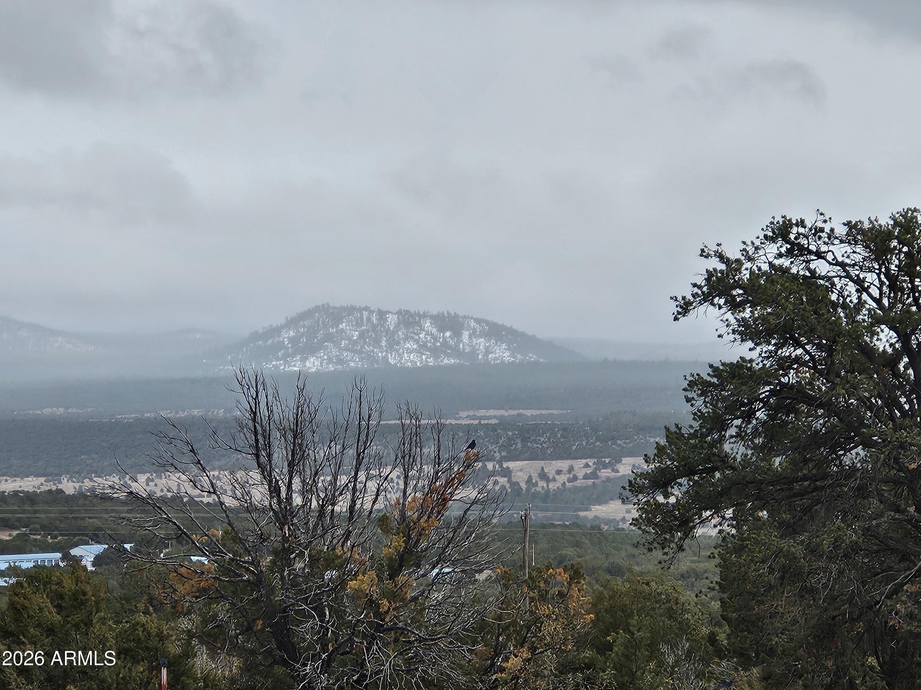Mountain Pine Ranch - Land