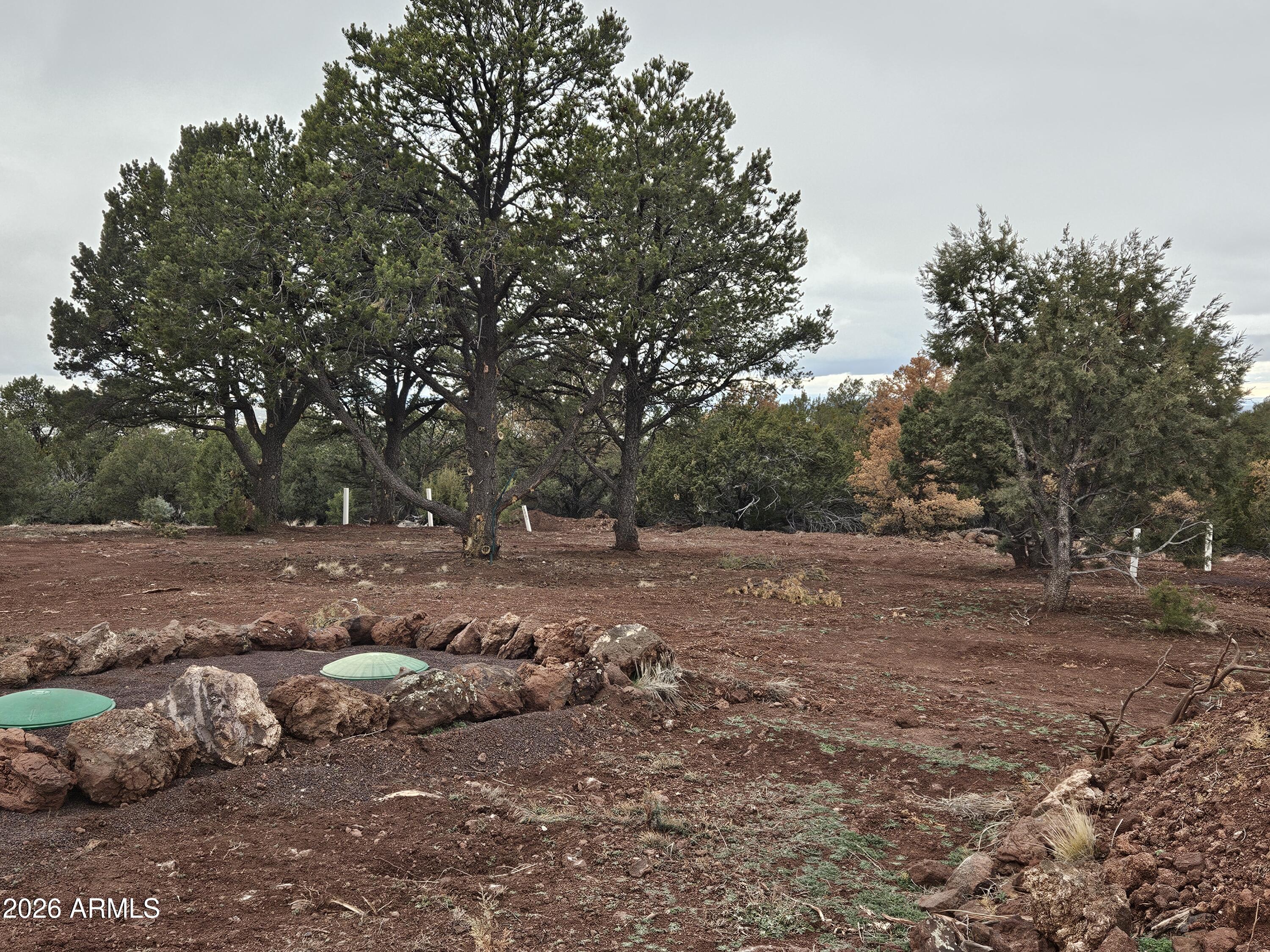 Mountain Pine Ranch - Land