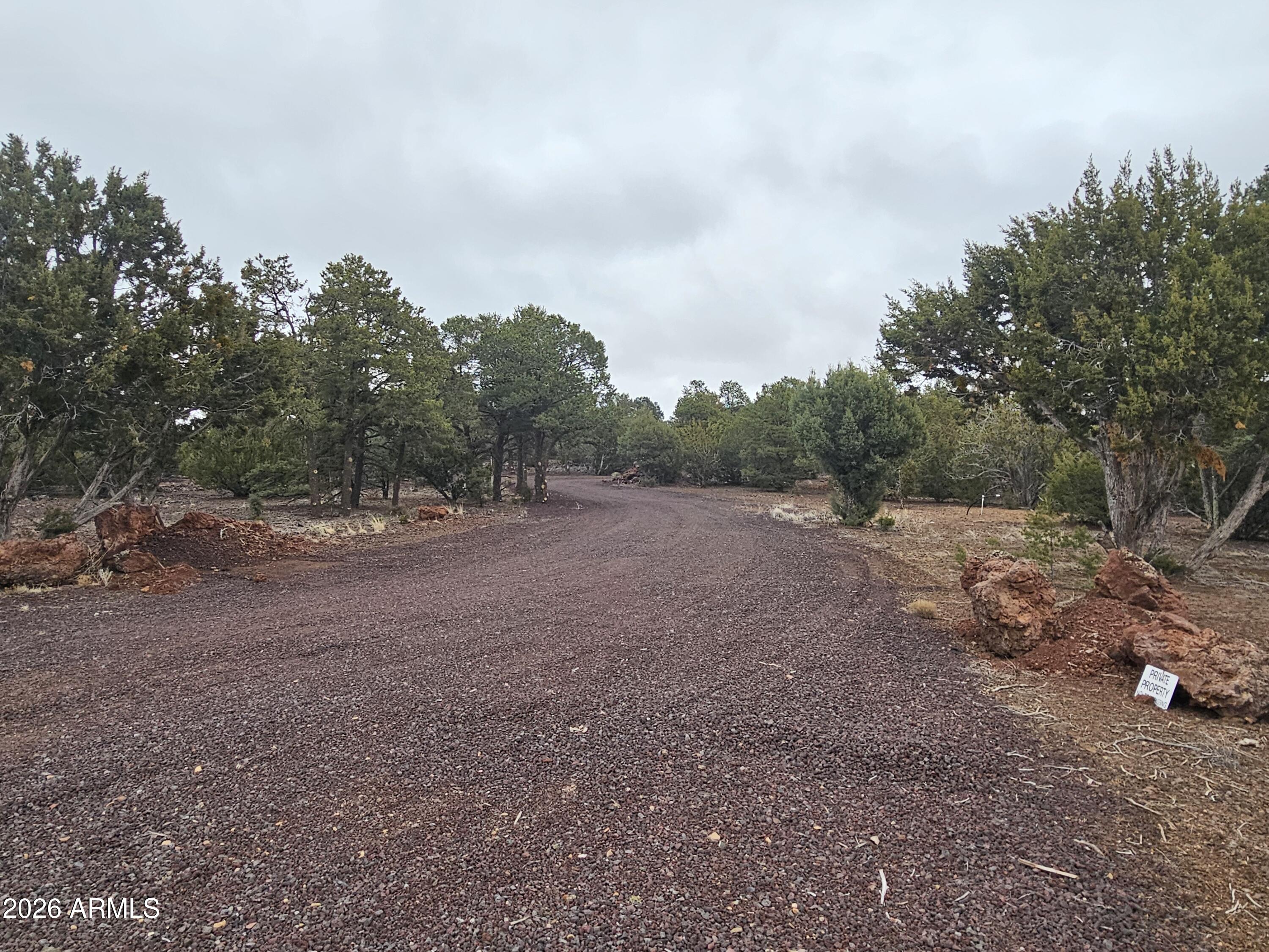 Mountain Pine Ranch - Land