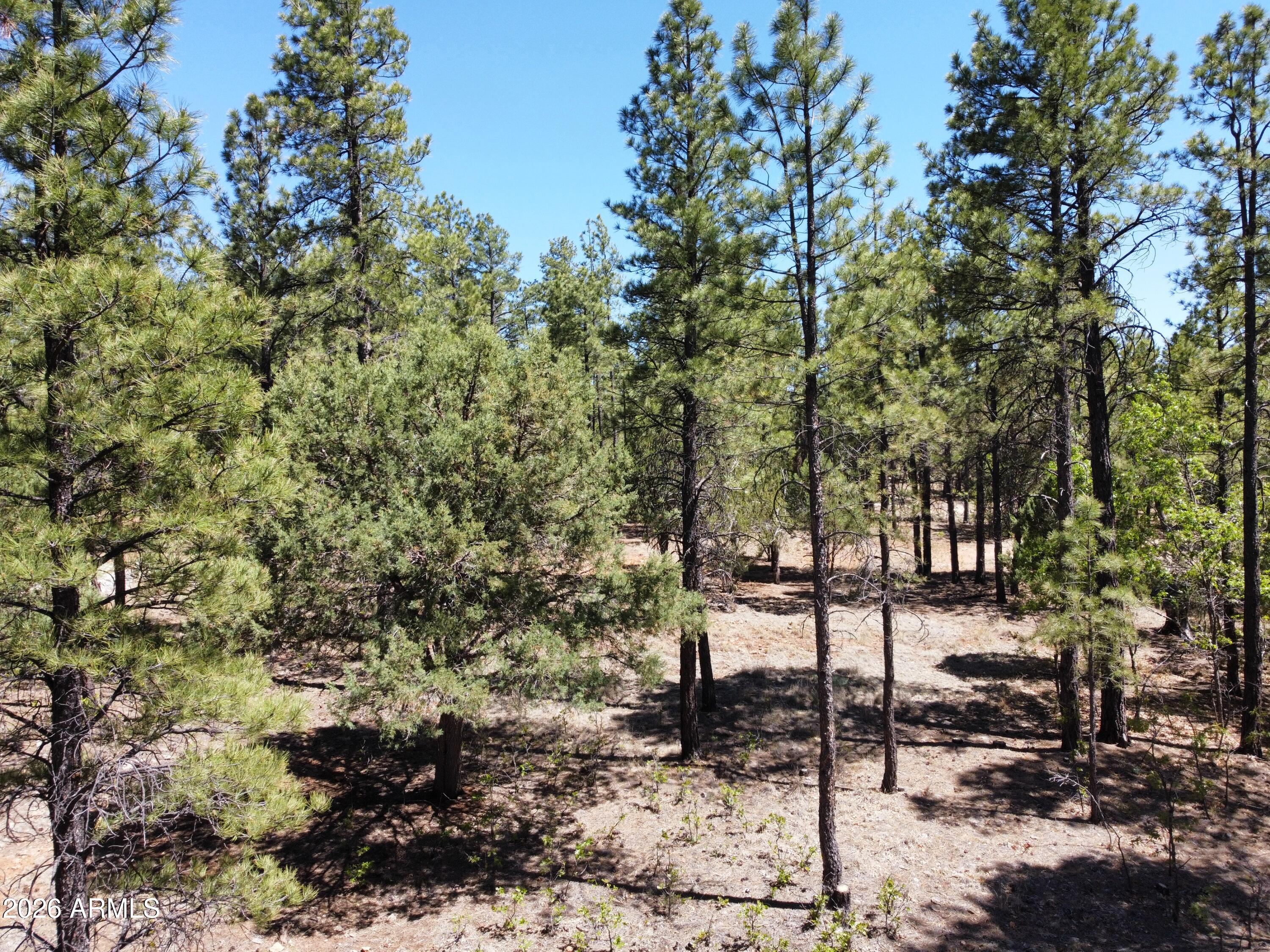 STARLIGHT PINES 4 PHASE 1 - Land