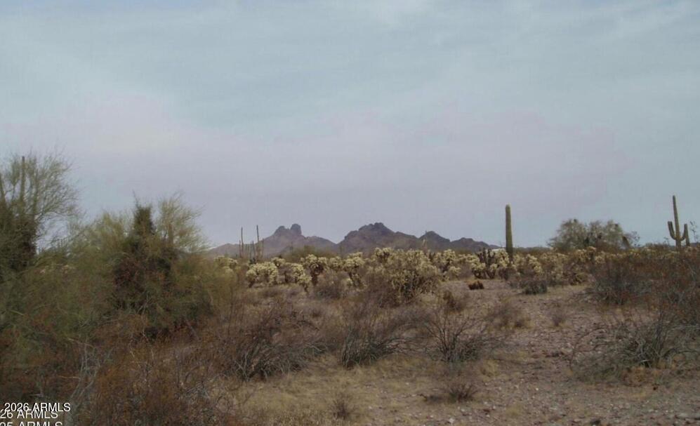 29900 N 315TH Avenue 96 7