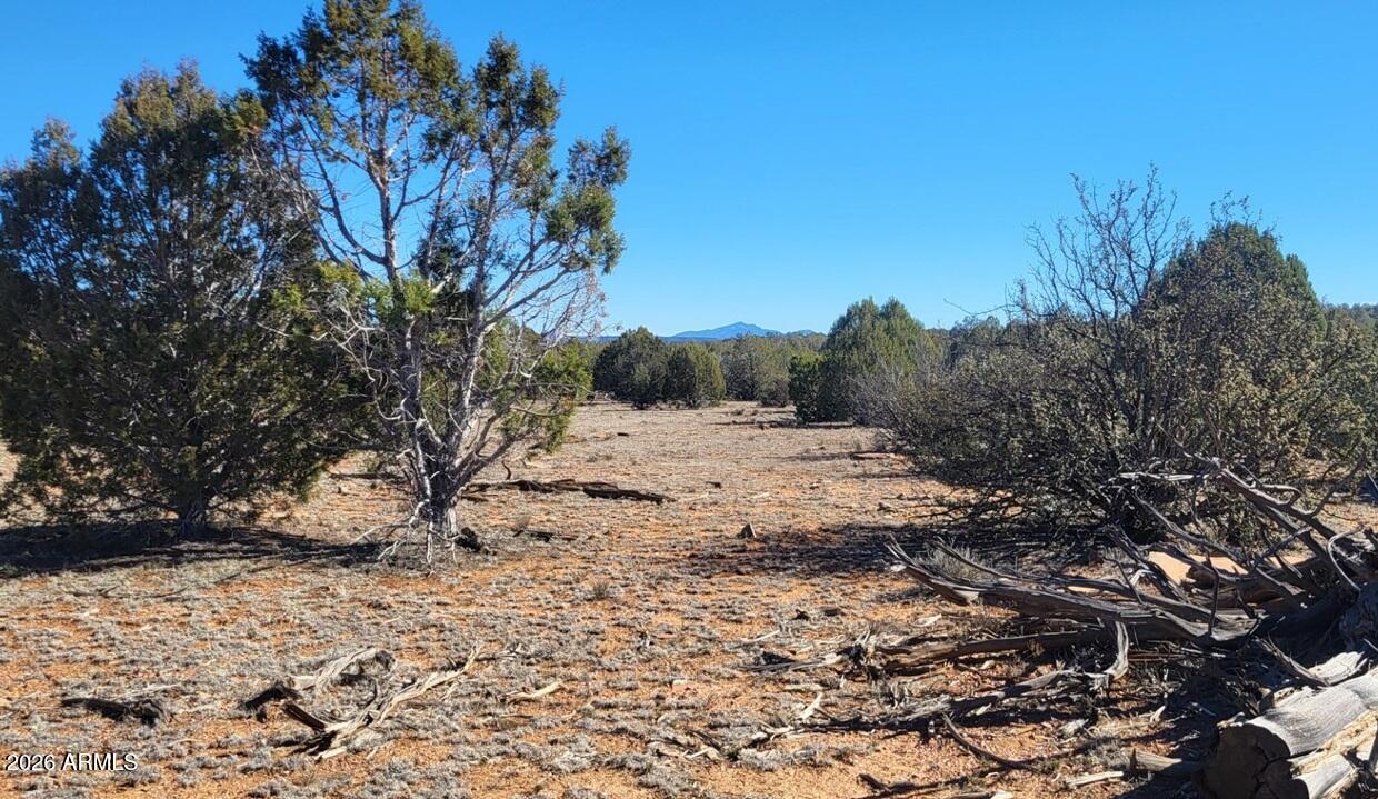 Westwood Ranches - Land
