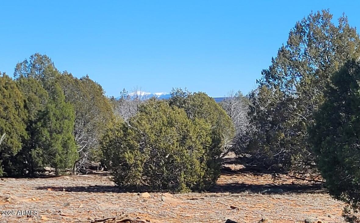 Westwood Ranches - Land