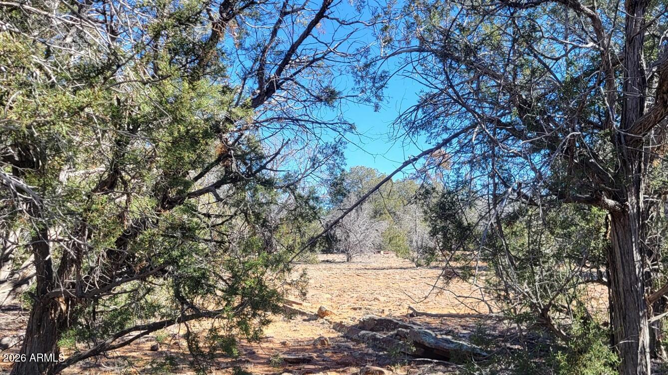 Westwood Ranches - Land