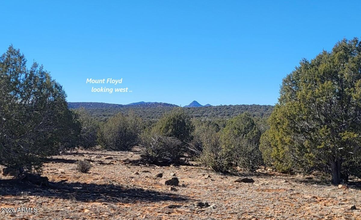 Westwood Ranches - Land