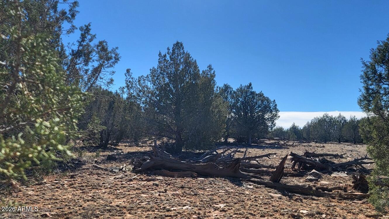 Westwood Ranches - Land