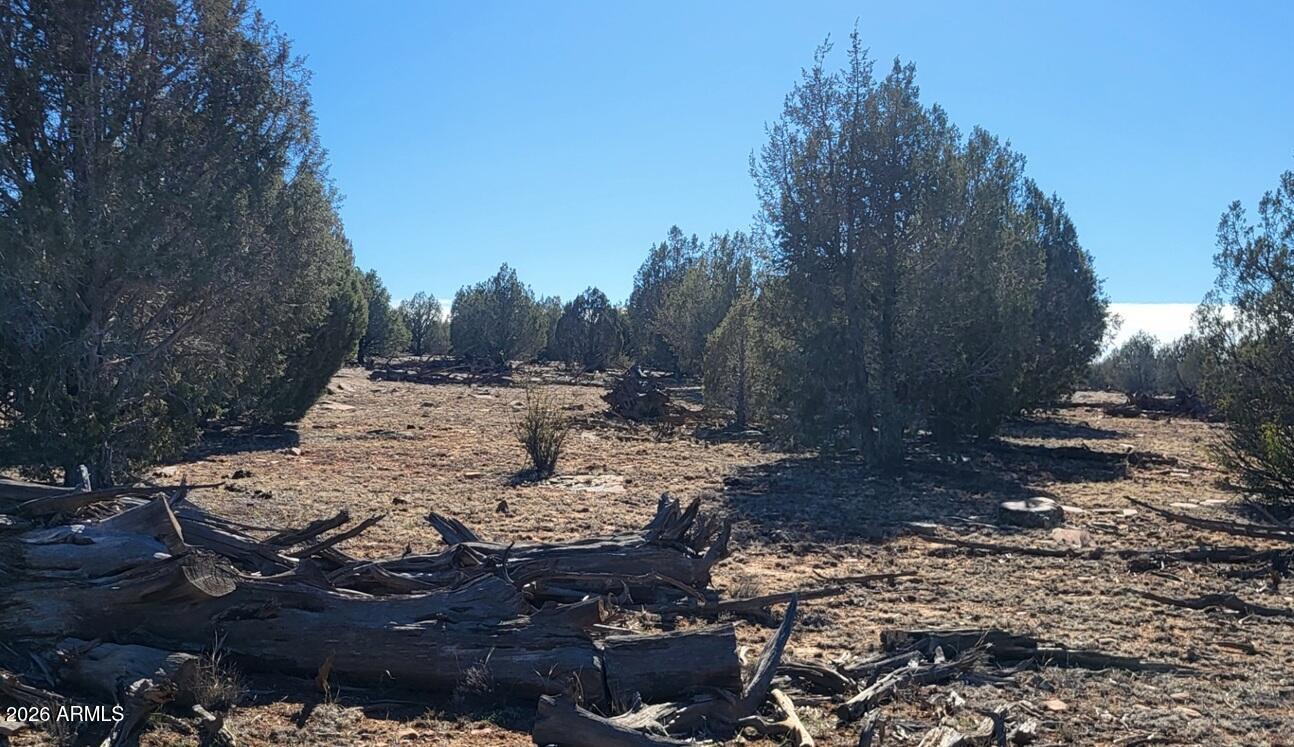 Westwood Ranches - Land