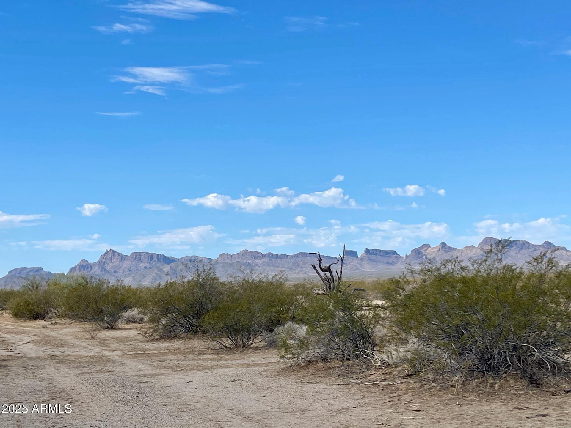 0 No Known Address -- -