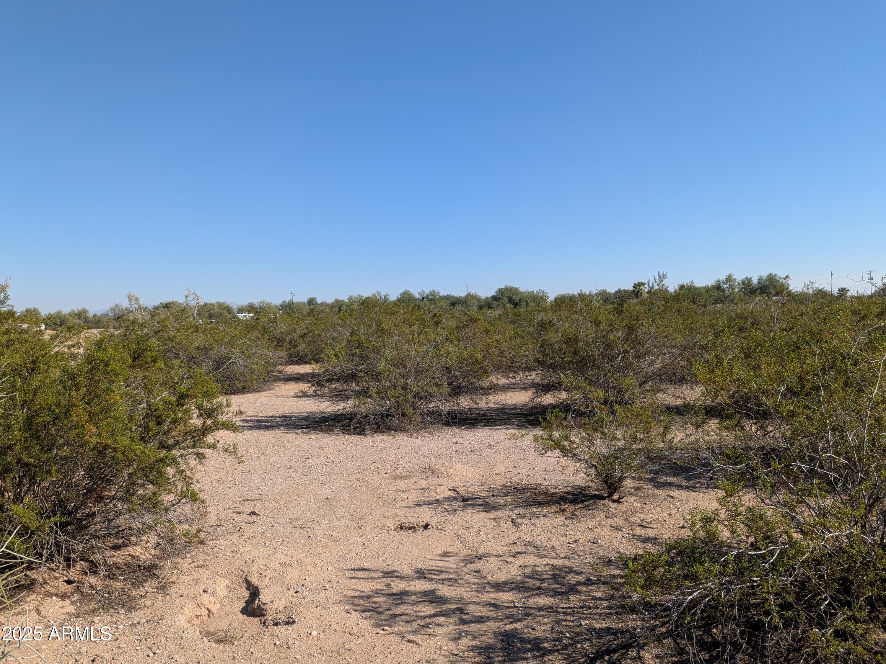 39143 W CATALINA Drive 1164