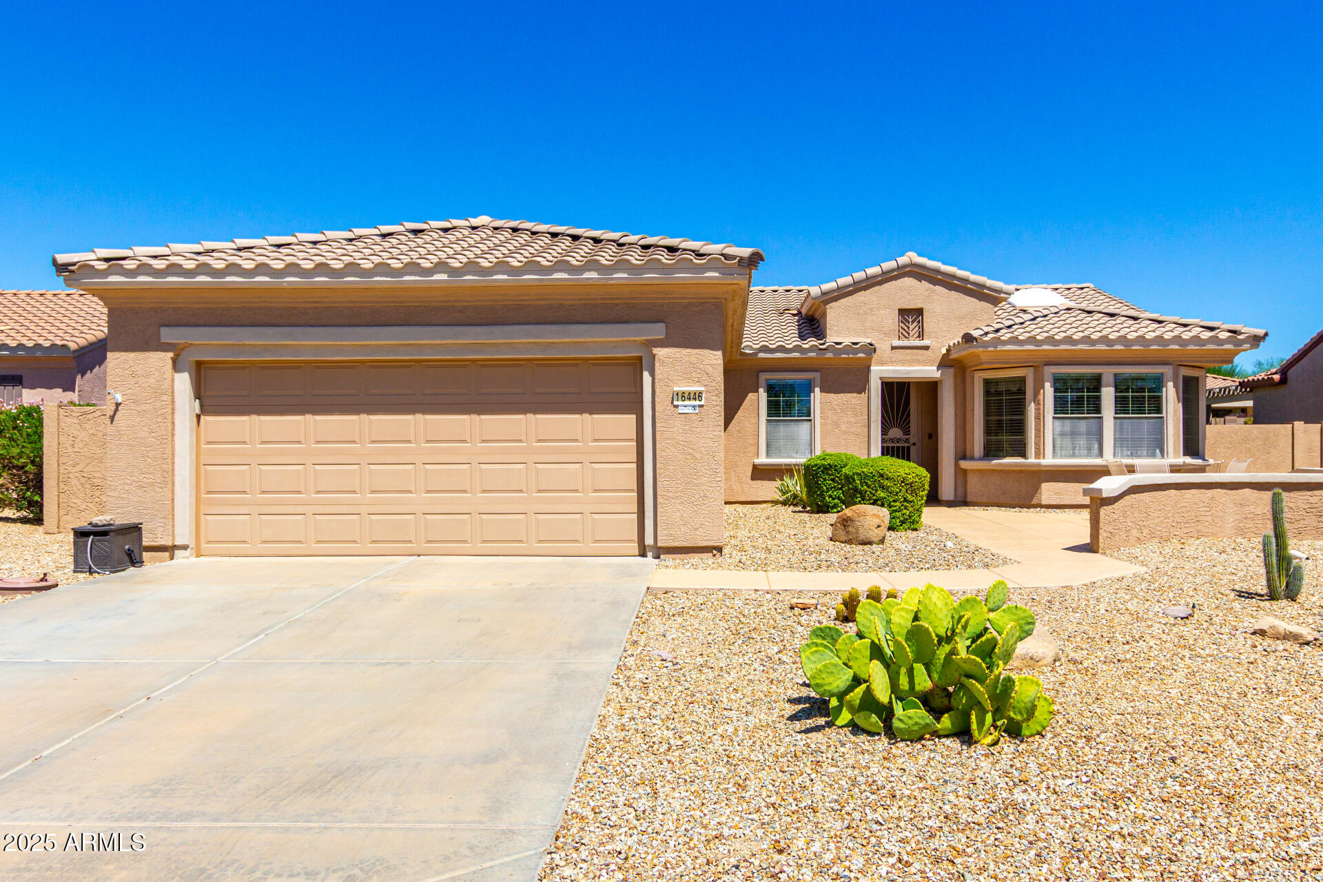 16446 W Century Plant Drive