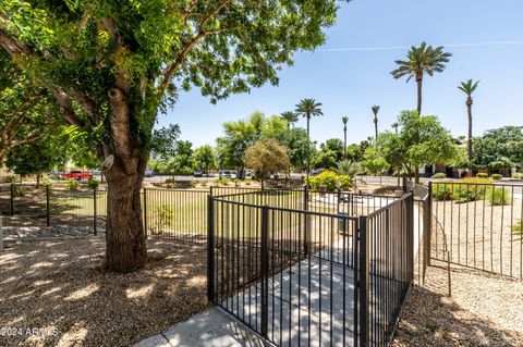 A home in Chandler