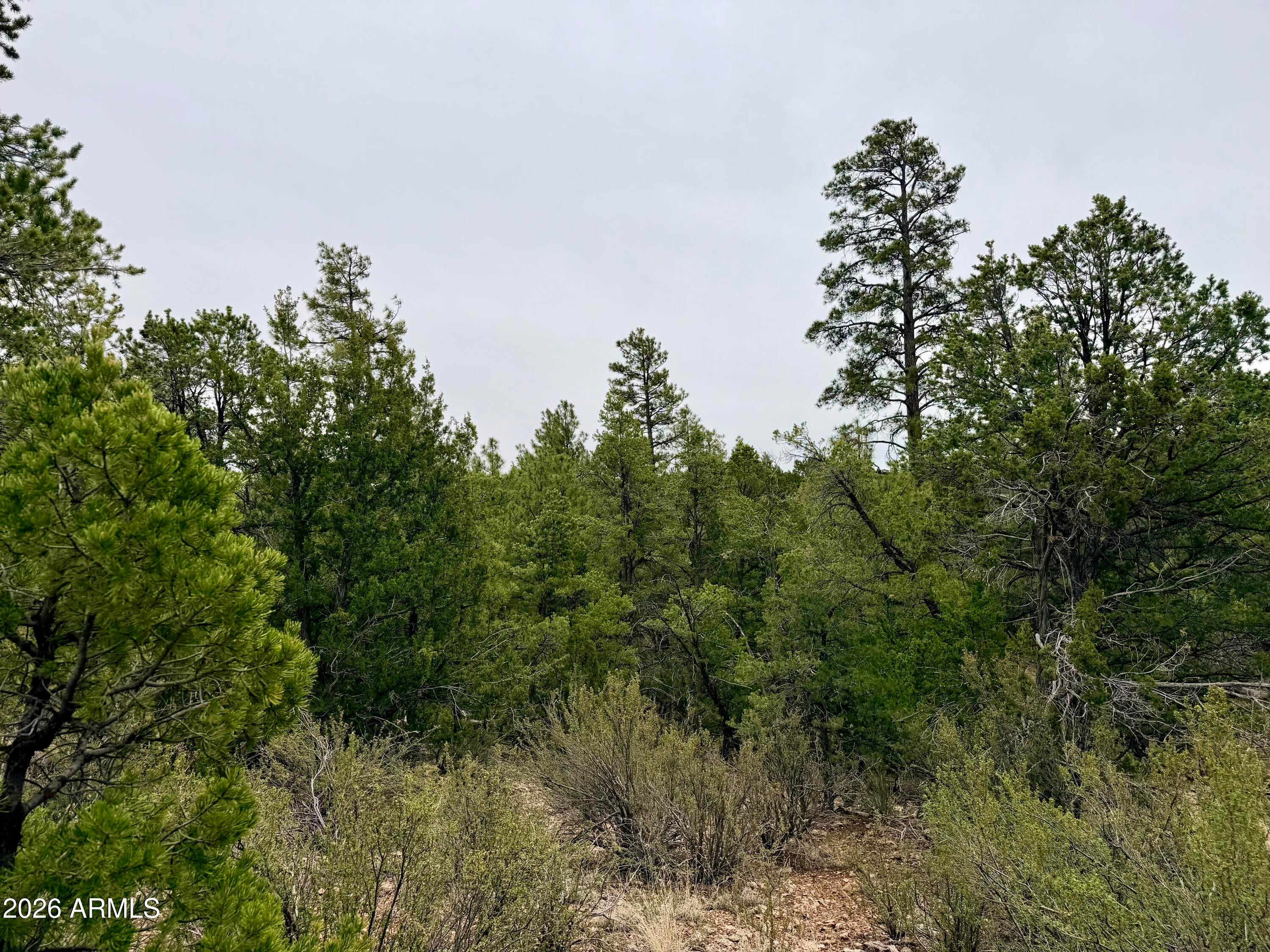 MOGOLLON RANCH 2 - Land