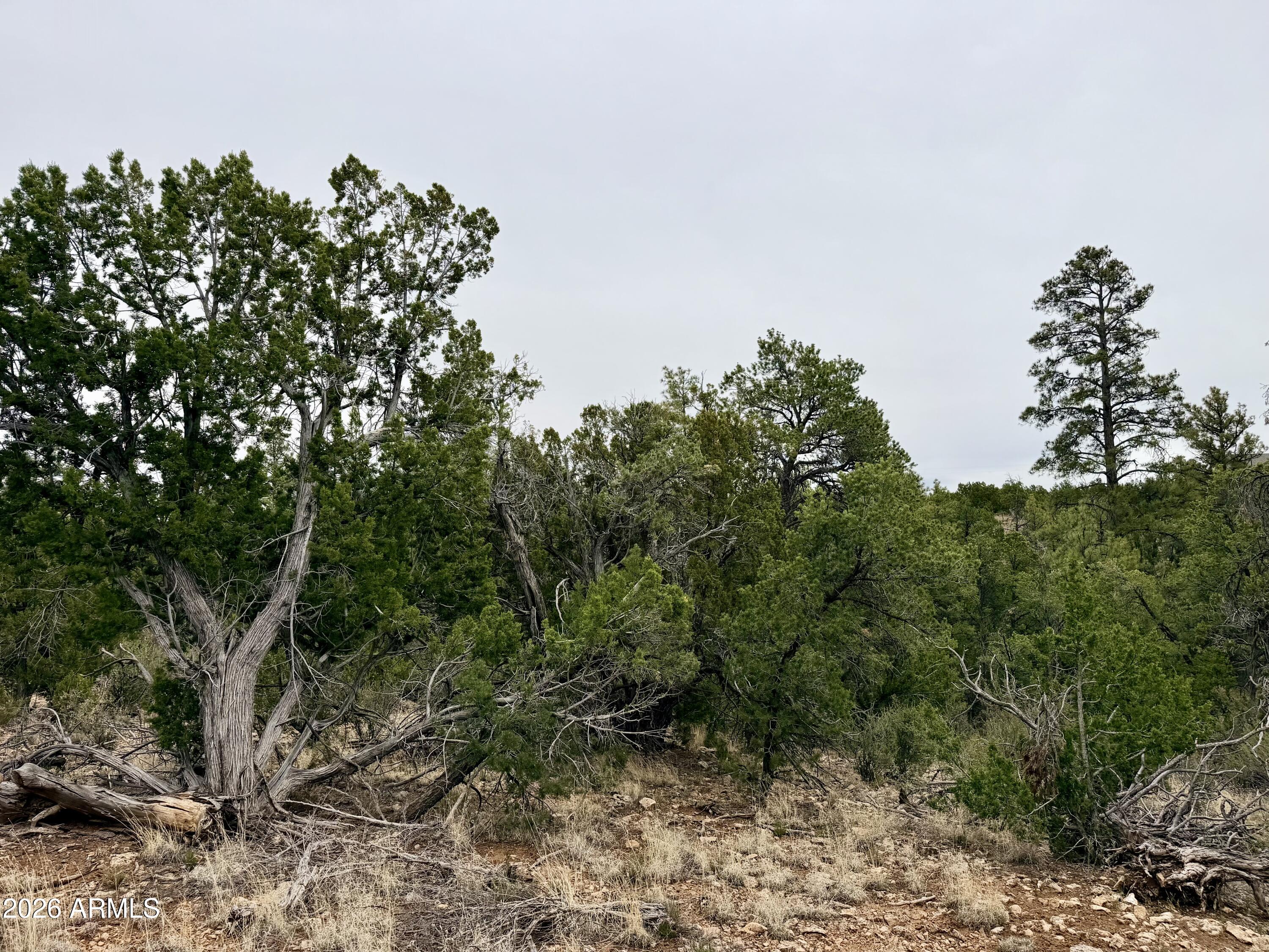 4918 SUNSET RIDGE Loop 199