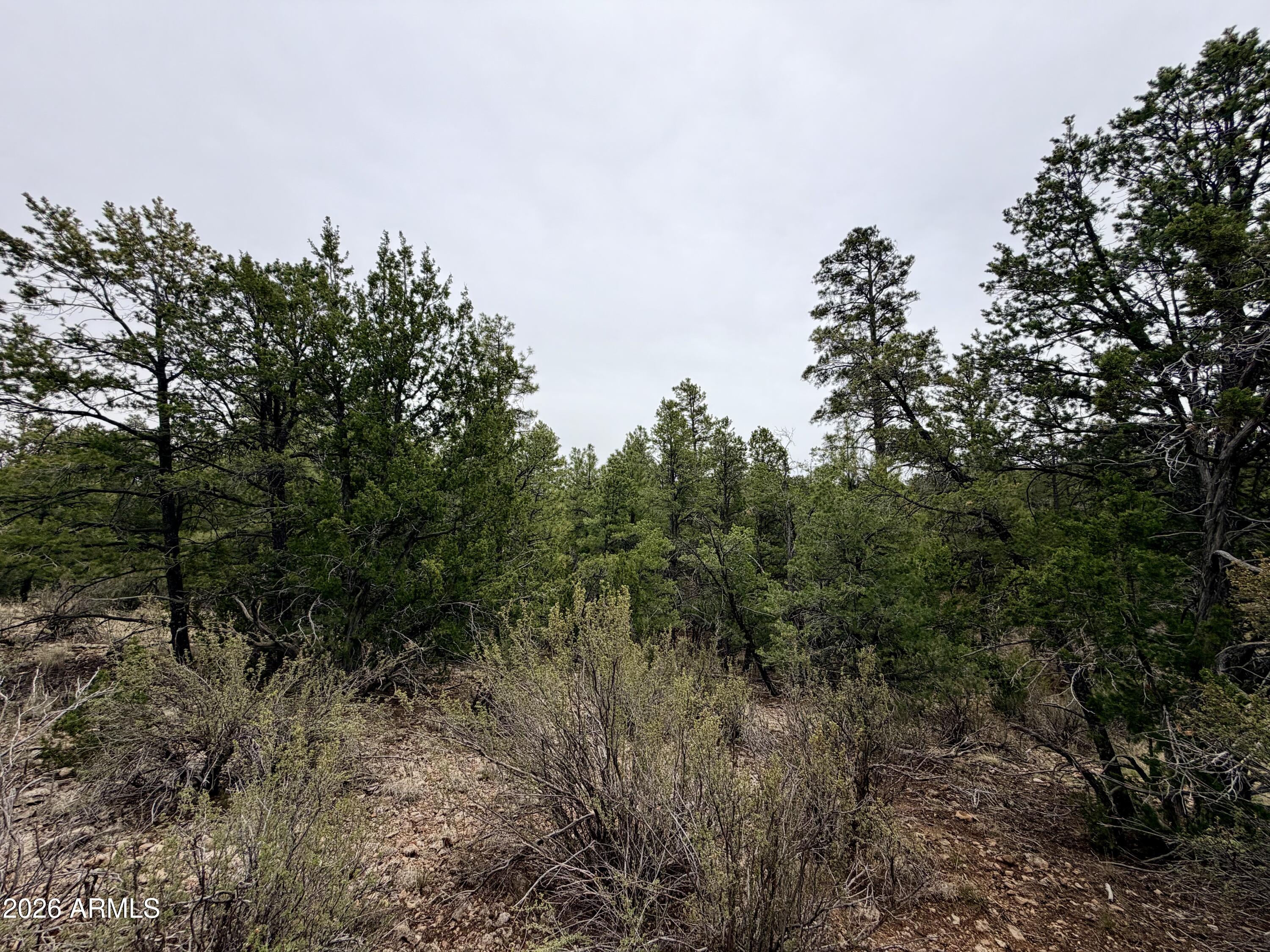 MOGOLLON RANCH 2 - Land
