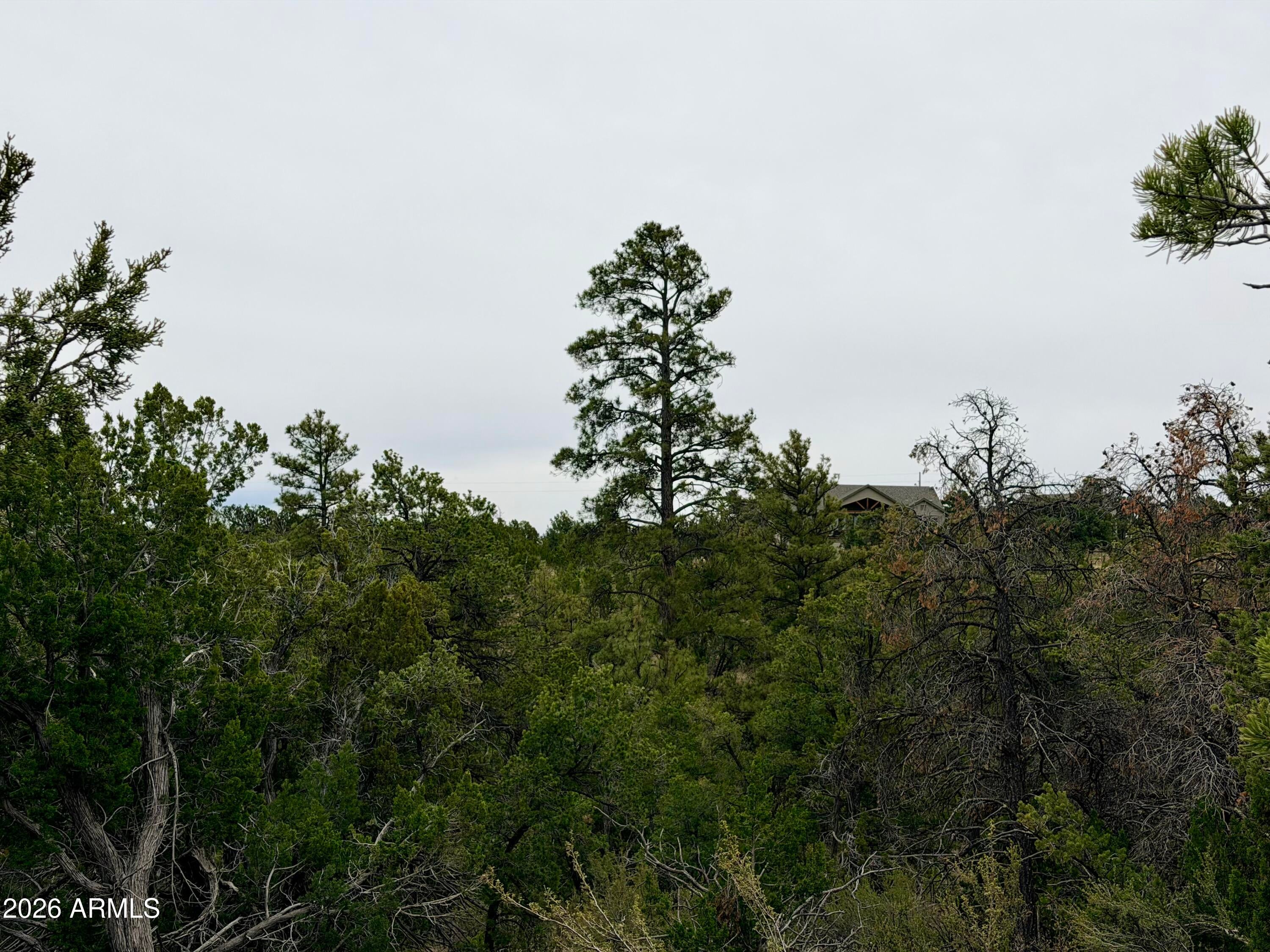 MOGOLLON RANCH 2 - Land