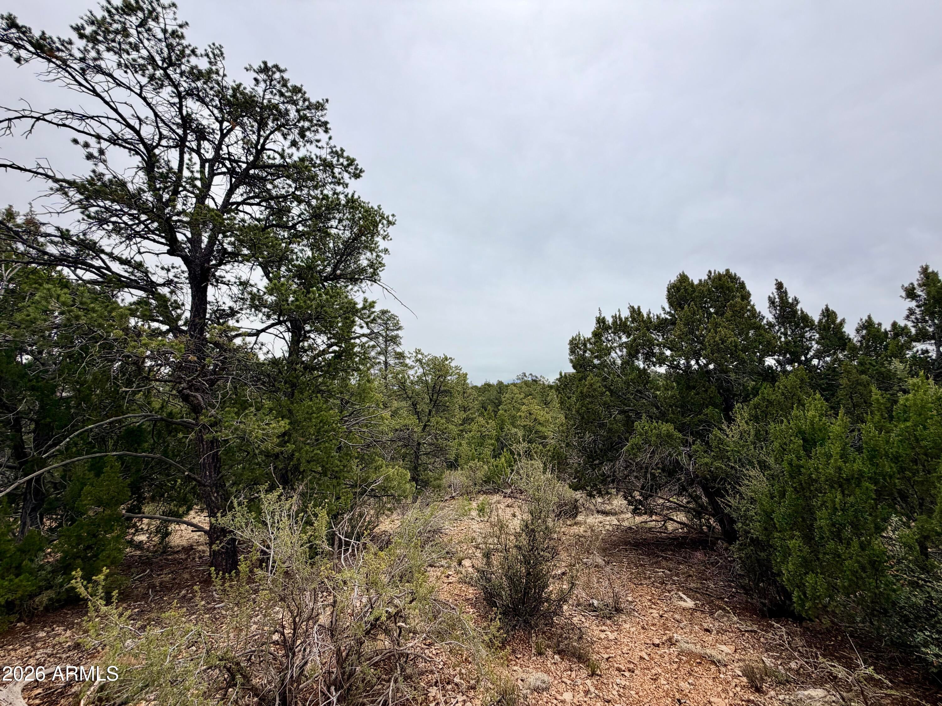 MOGOLLON RANCH 2 - Land
