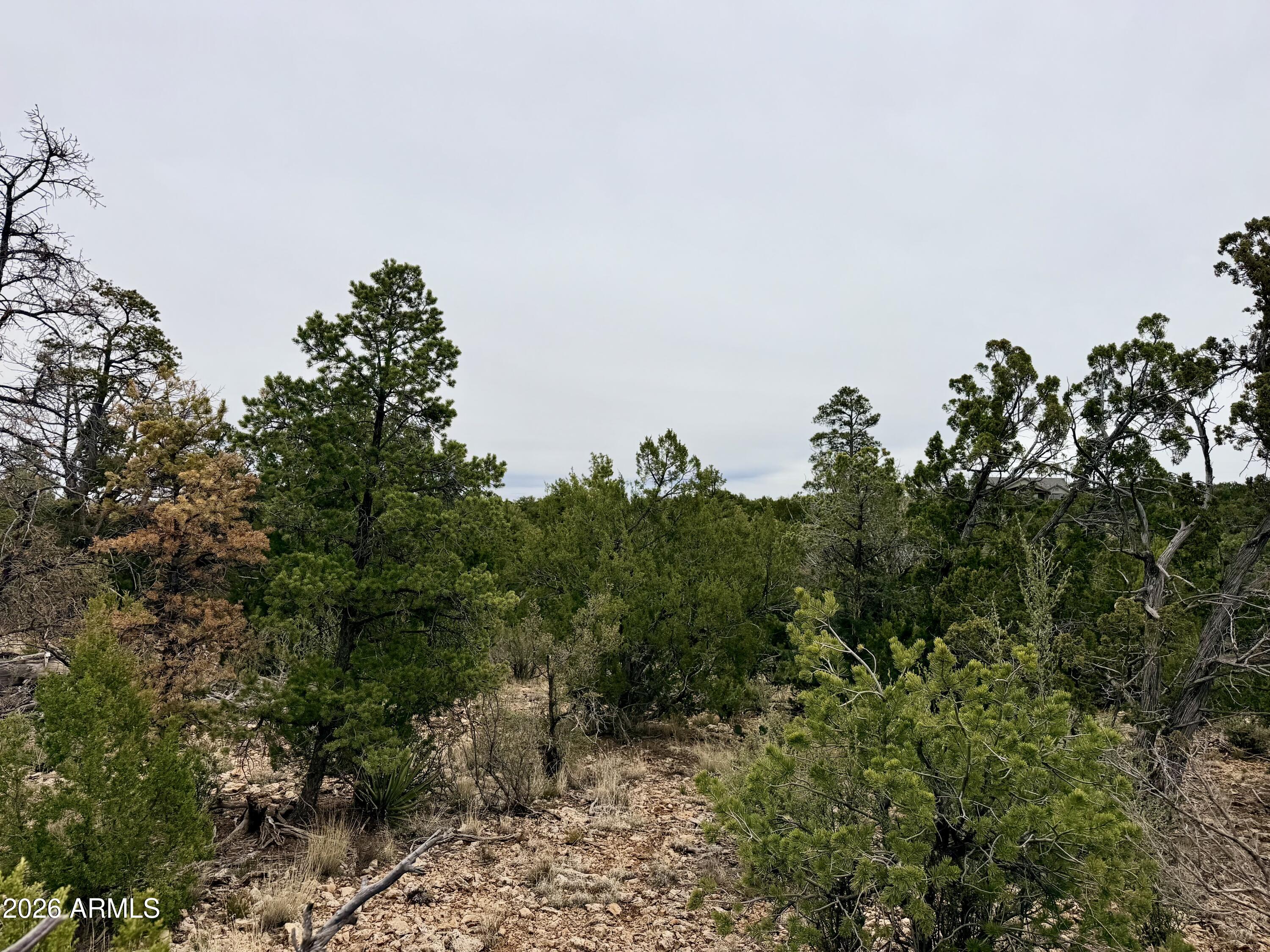 MOGOLLON RANCH 2 - Land