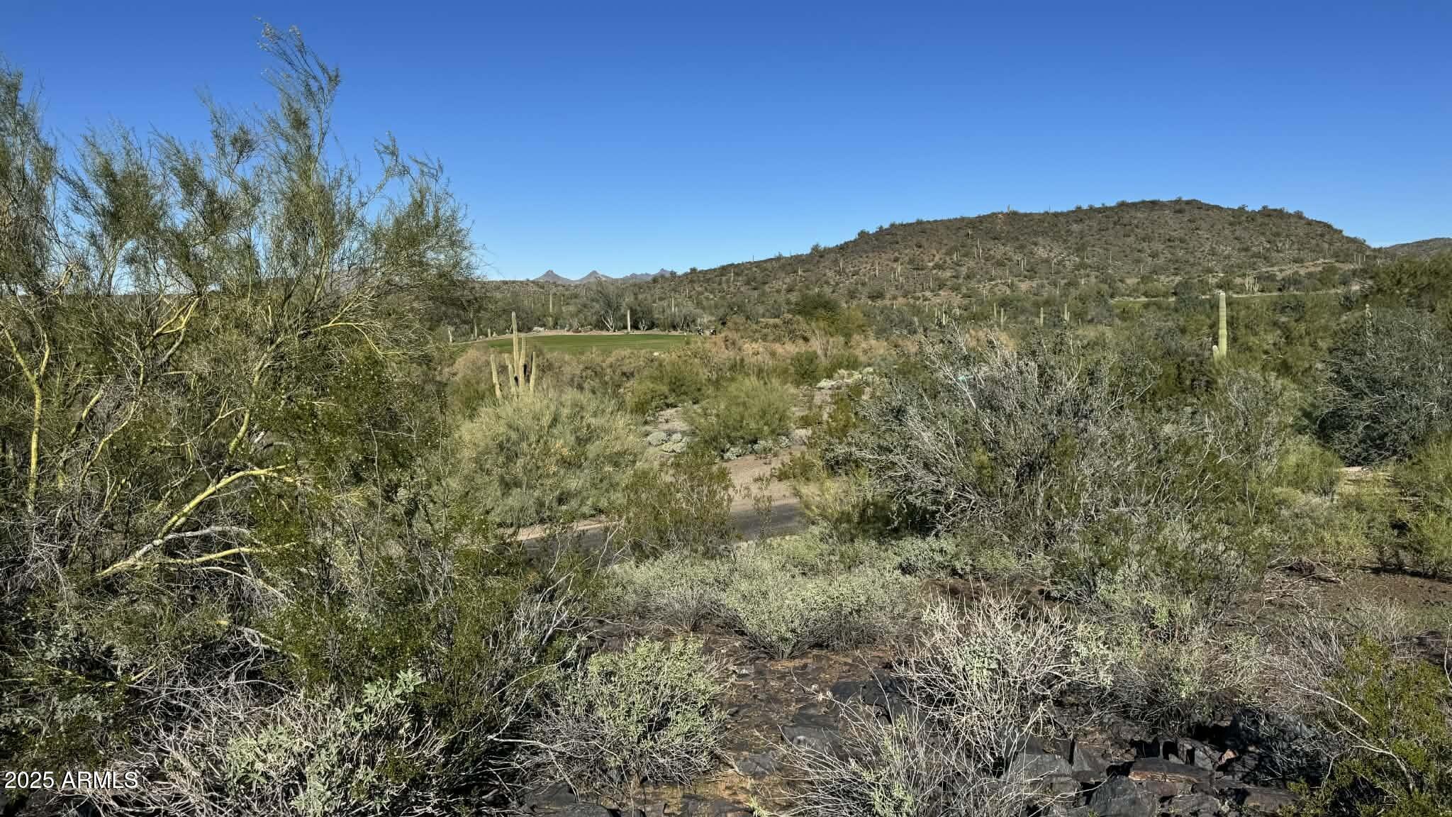 39623 N WHISPERING RIDGE Way 21