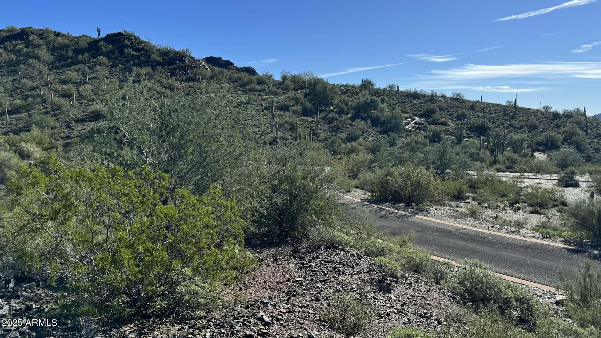 39623 N WHISPERING RIDGE Way 21